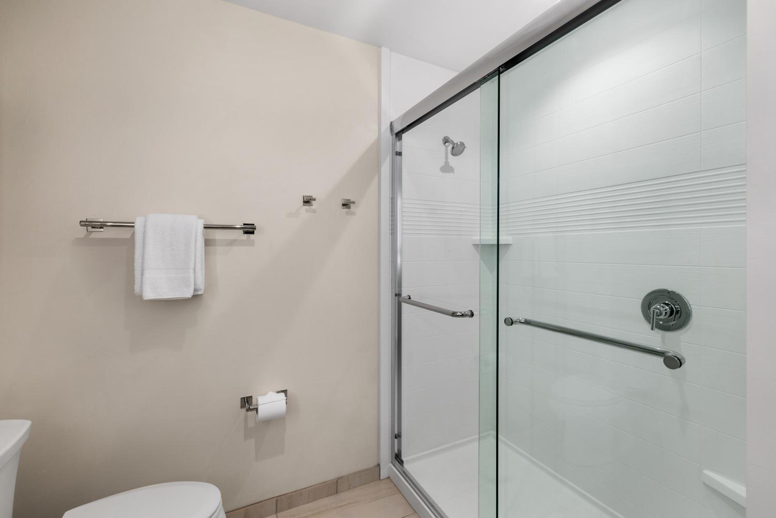 One-Bedroom King Suite - Photo 4