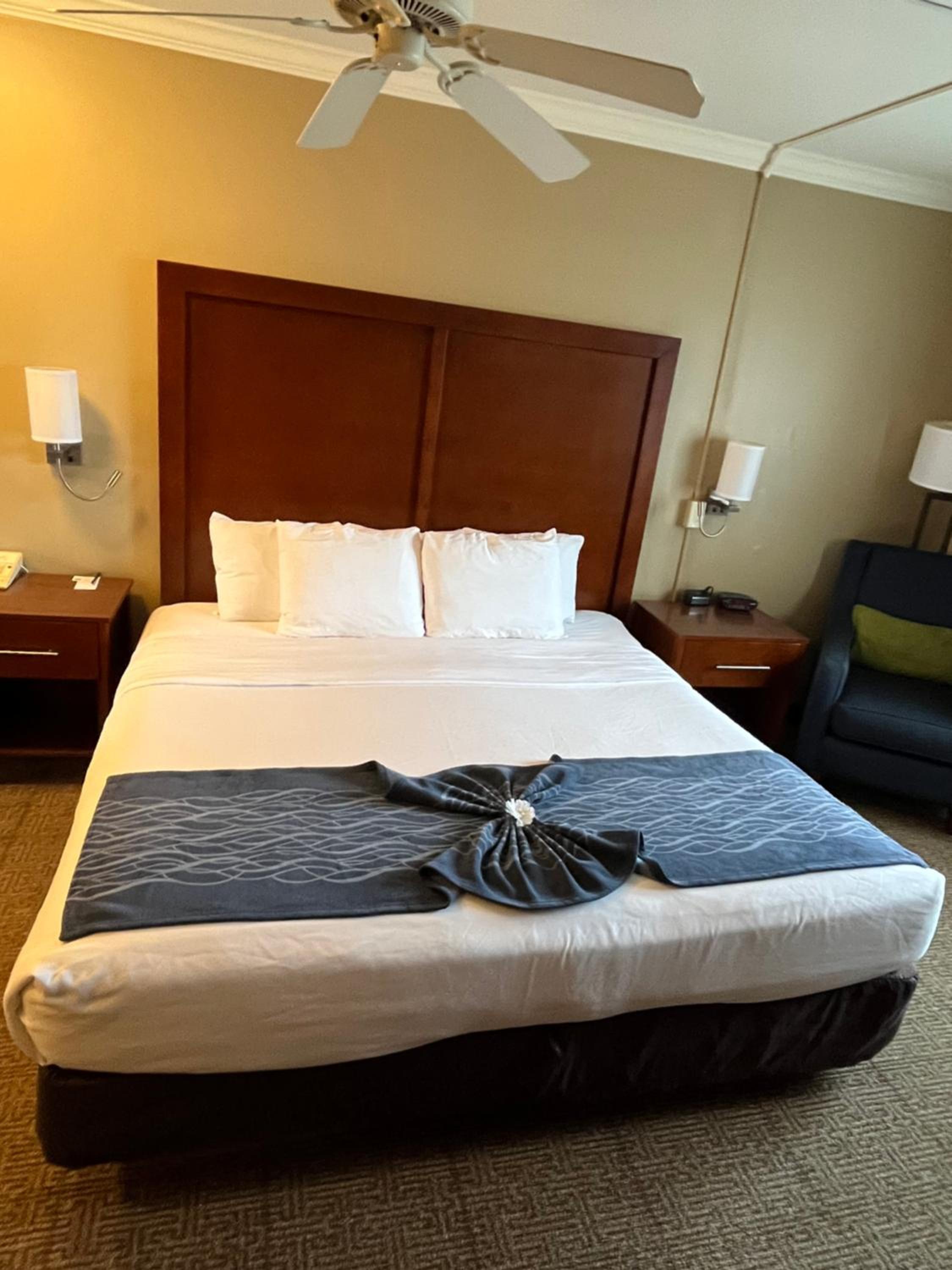 King Room - Photo 3