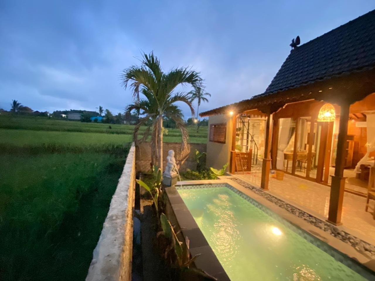 One Bedroom Villa with Private Pool - Photo 11