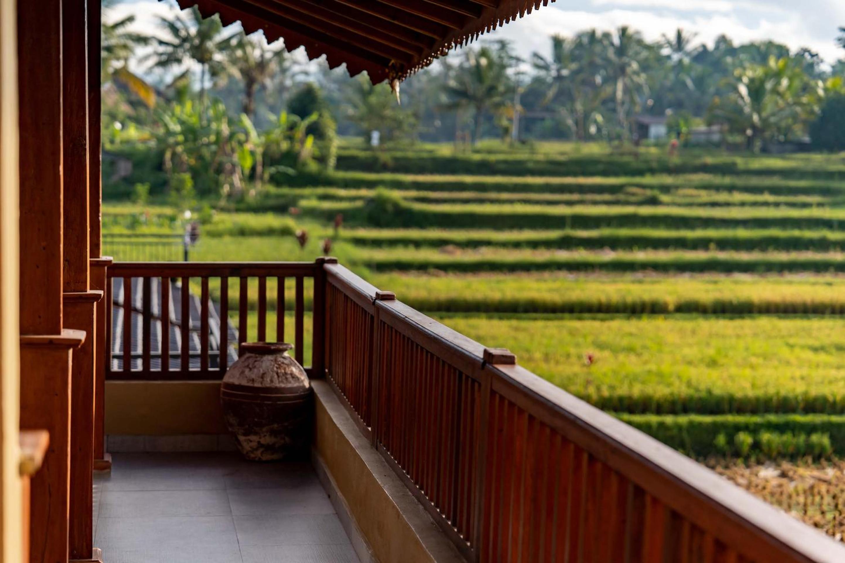 One Bedroom Deluxe with Plunge Pool - Photo 7