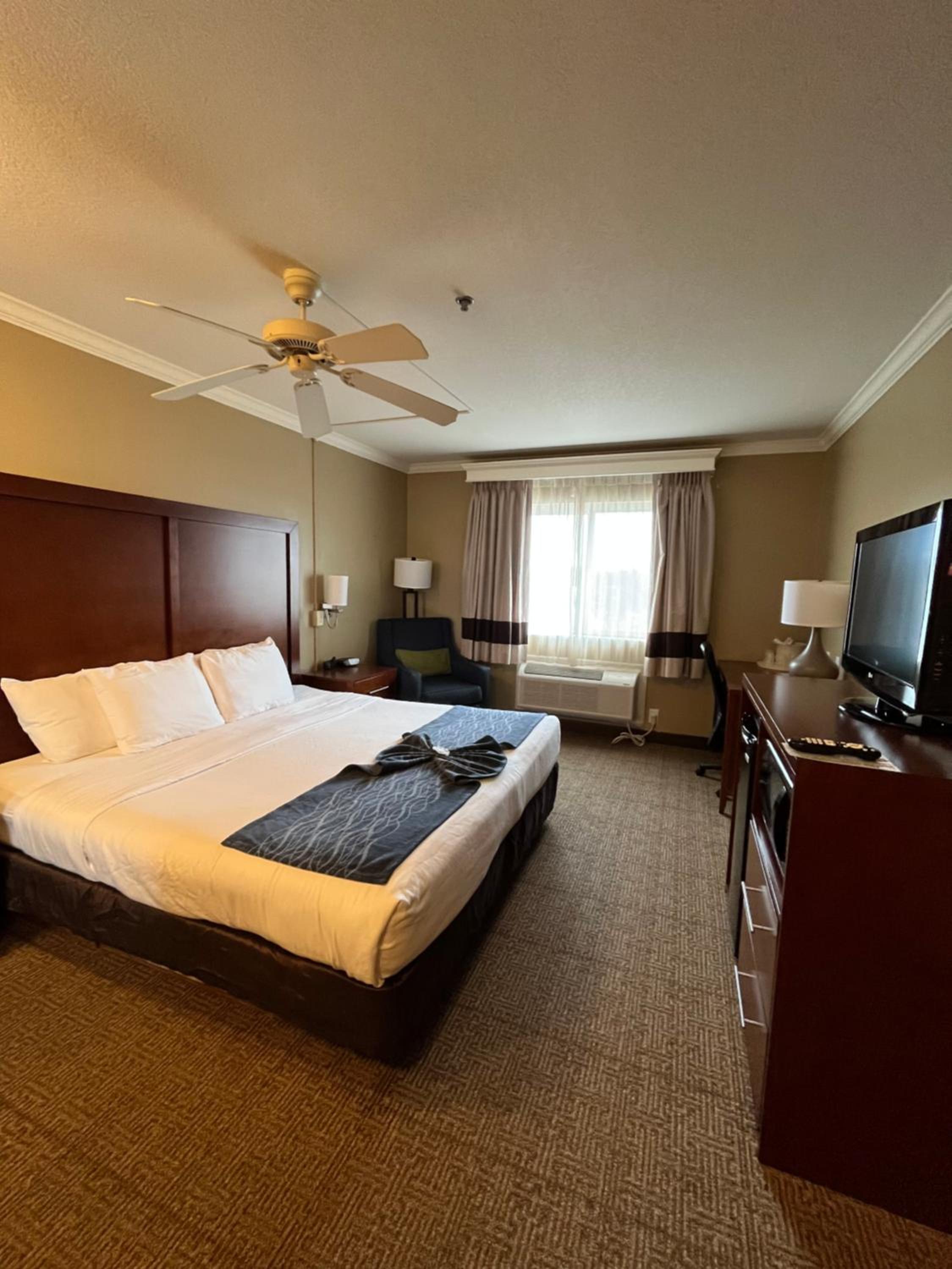 King Room - Photo 4