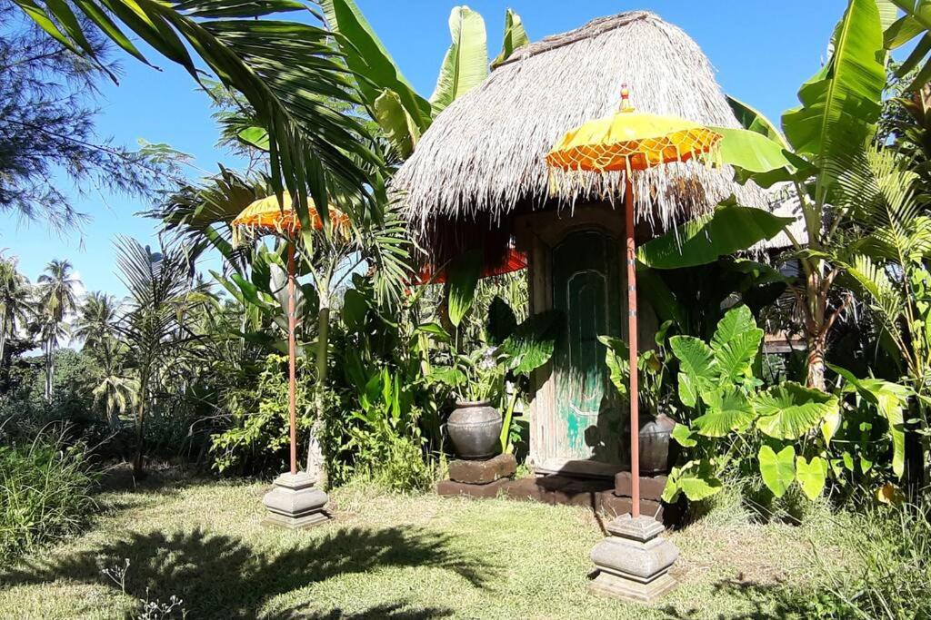 One-Bedroom Villa photo 2