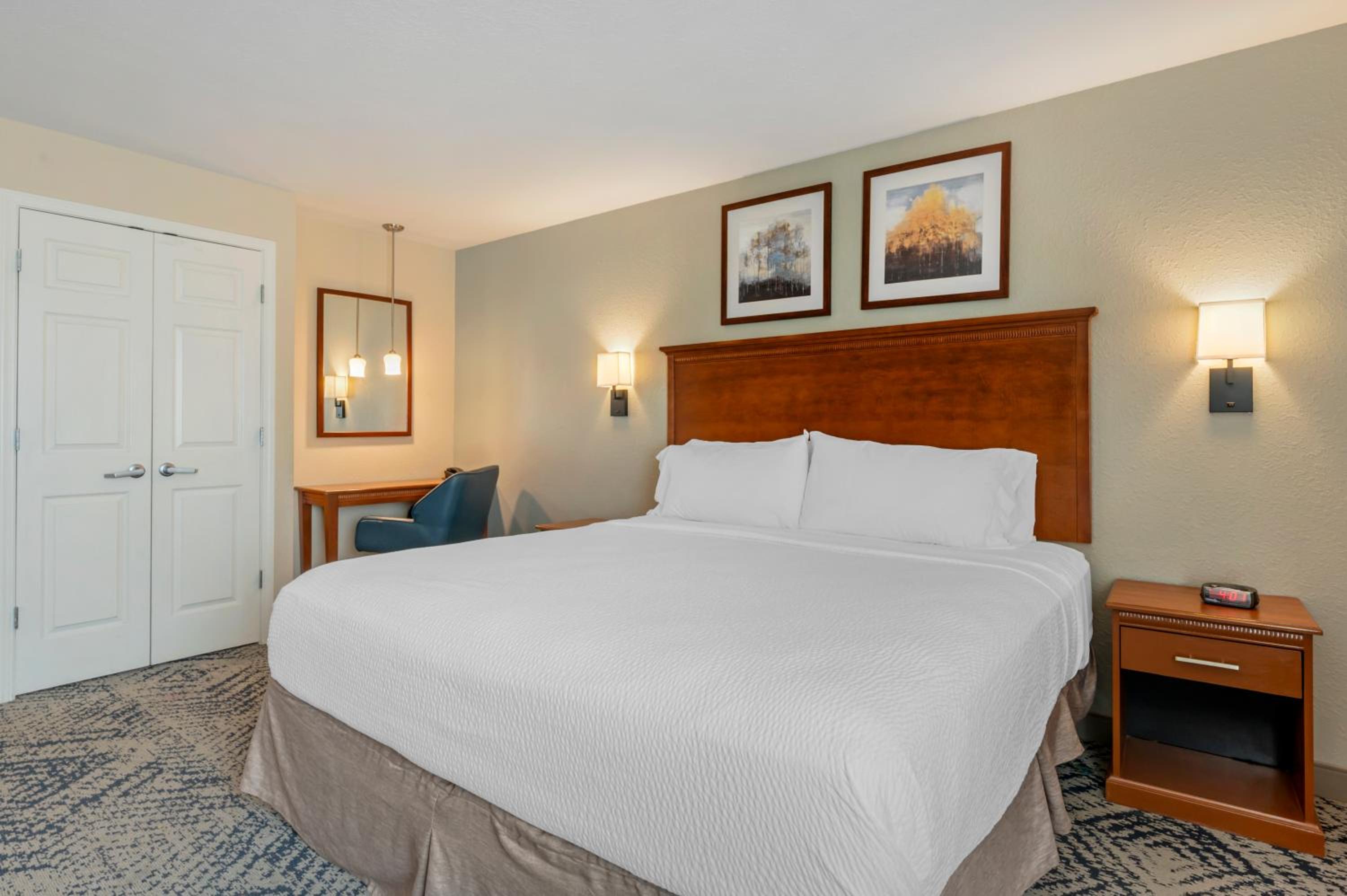 One-Bedroom Suite - Photo 9