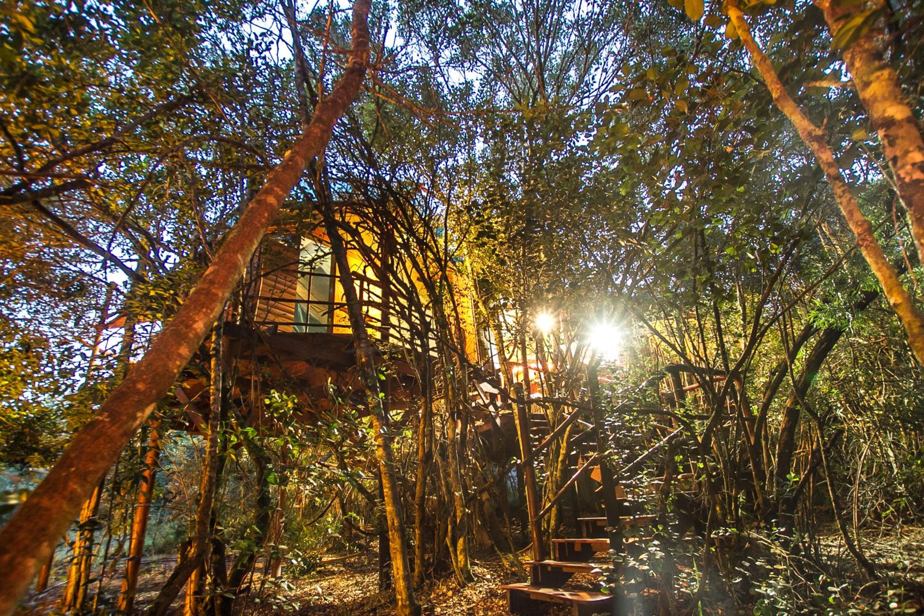Family Tent - Photo 2