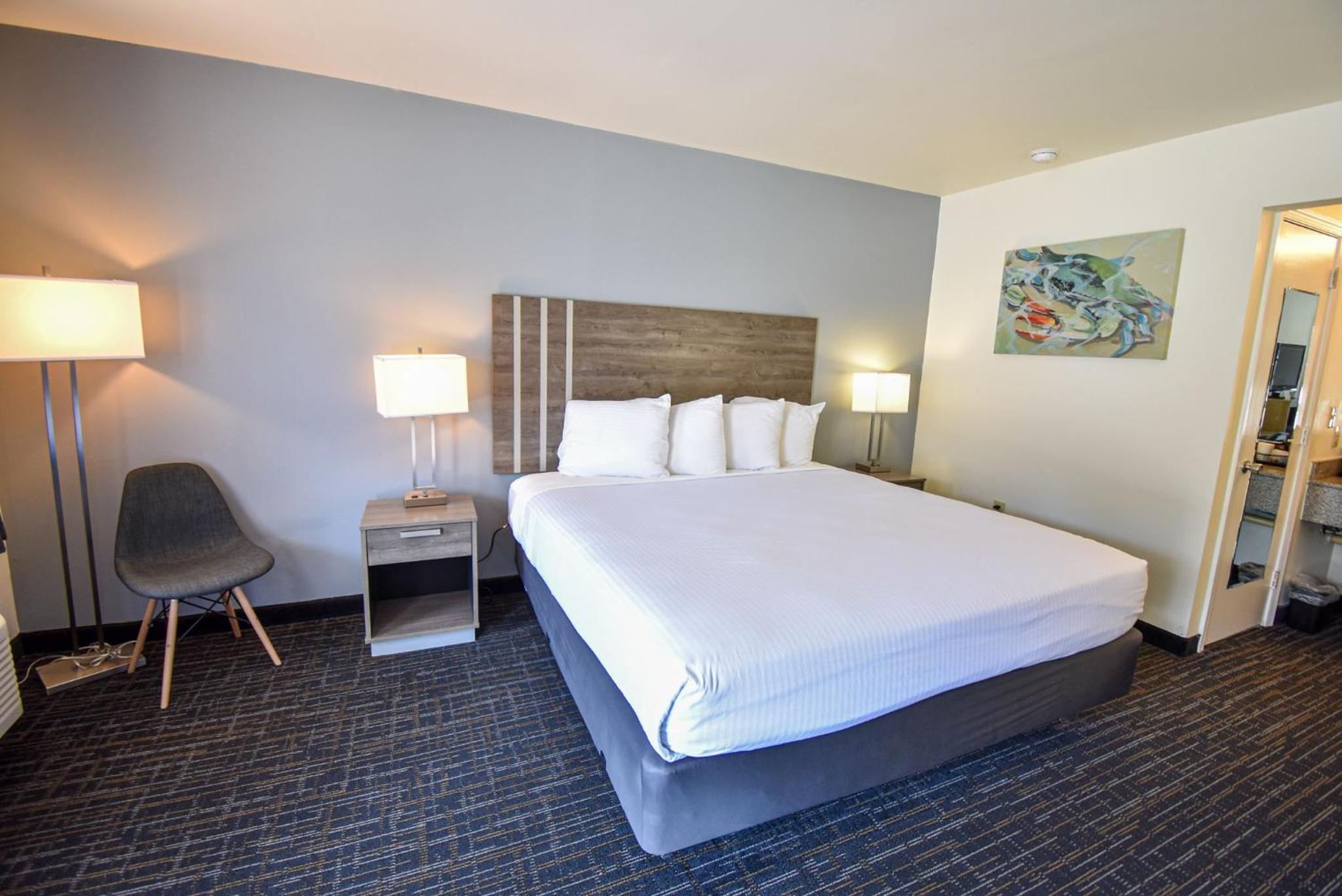 Queen Room - Disability Access photo 3