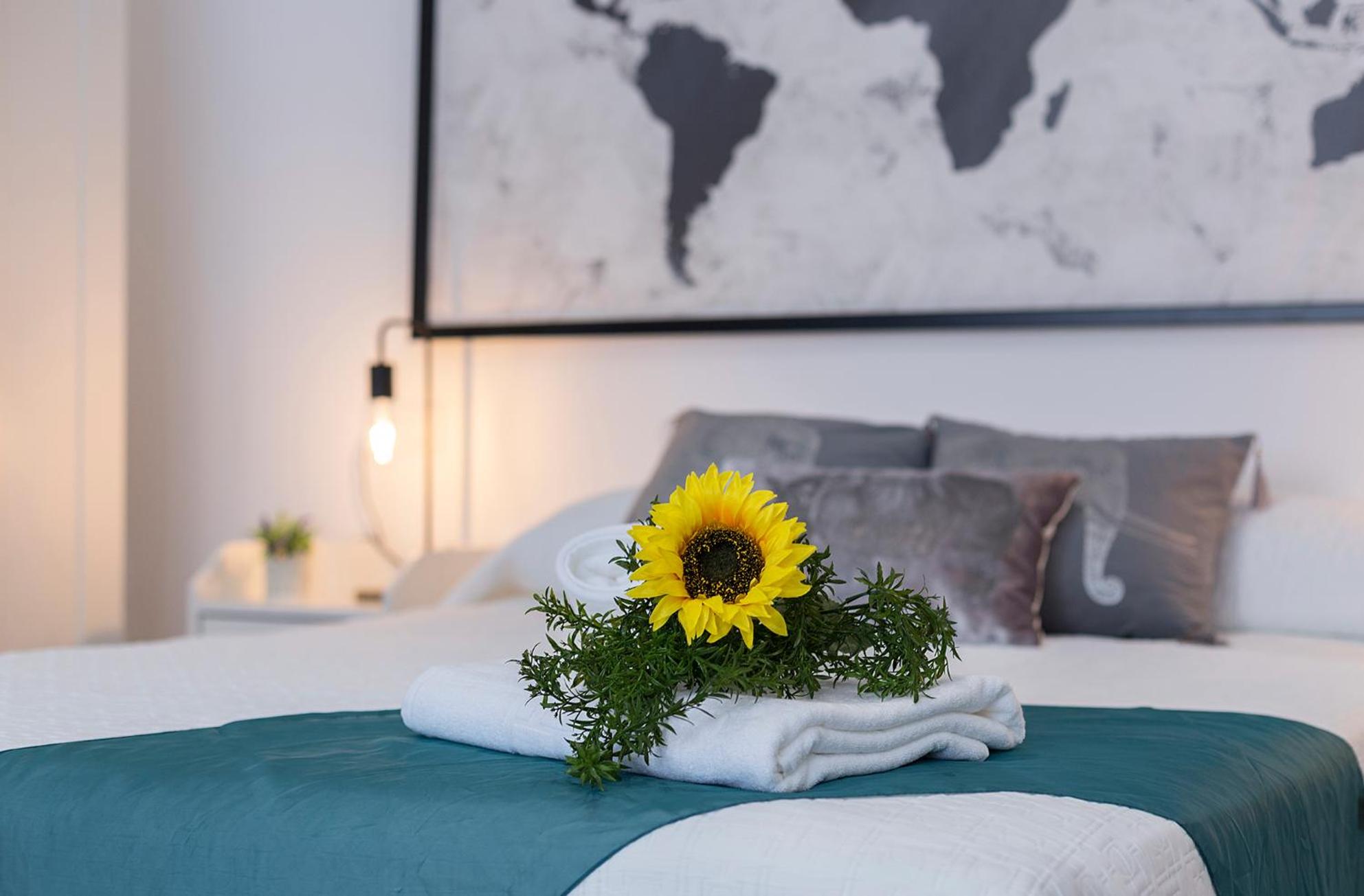 Apartamento de una habitación