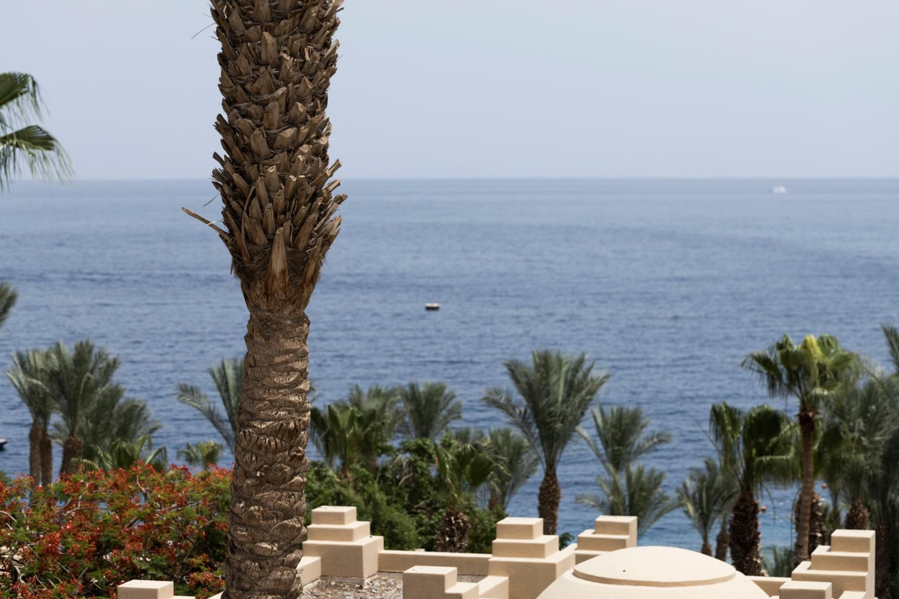 One Bedroom Suite with Plunge Pool (Non Smoking) thumbnail 6