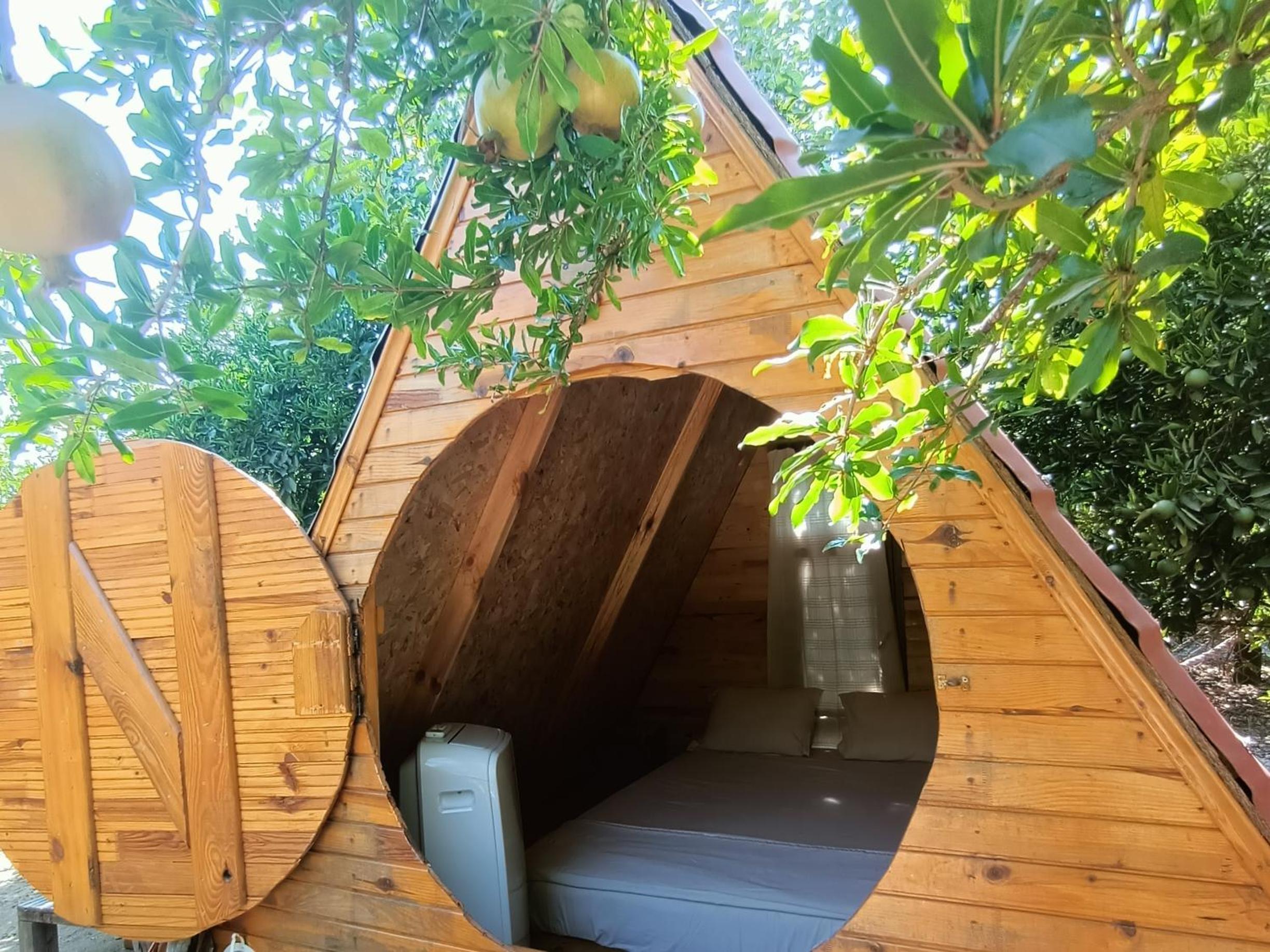 Mobile Home