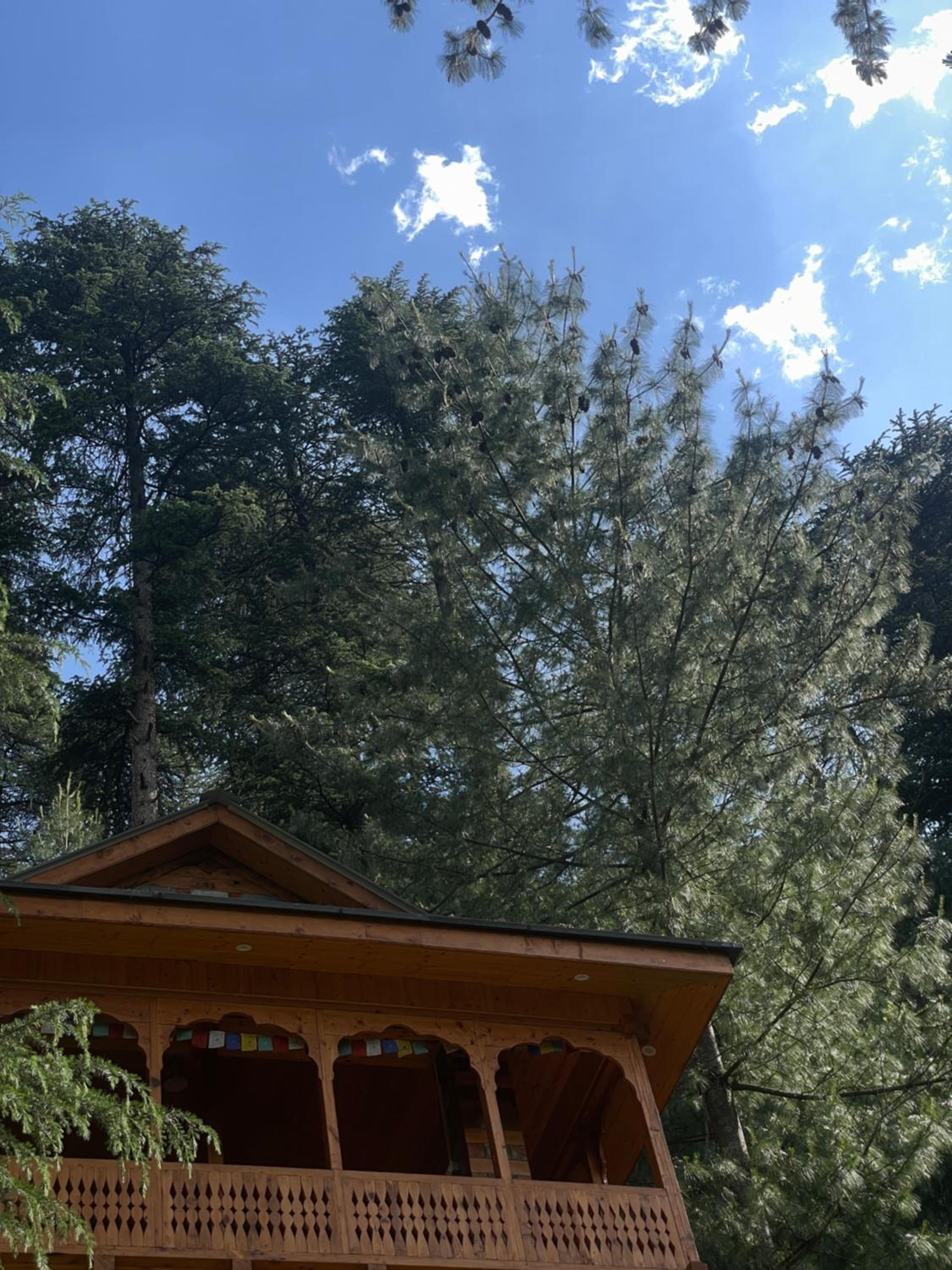Superior Chalet photo 3