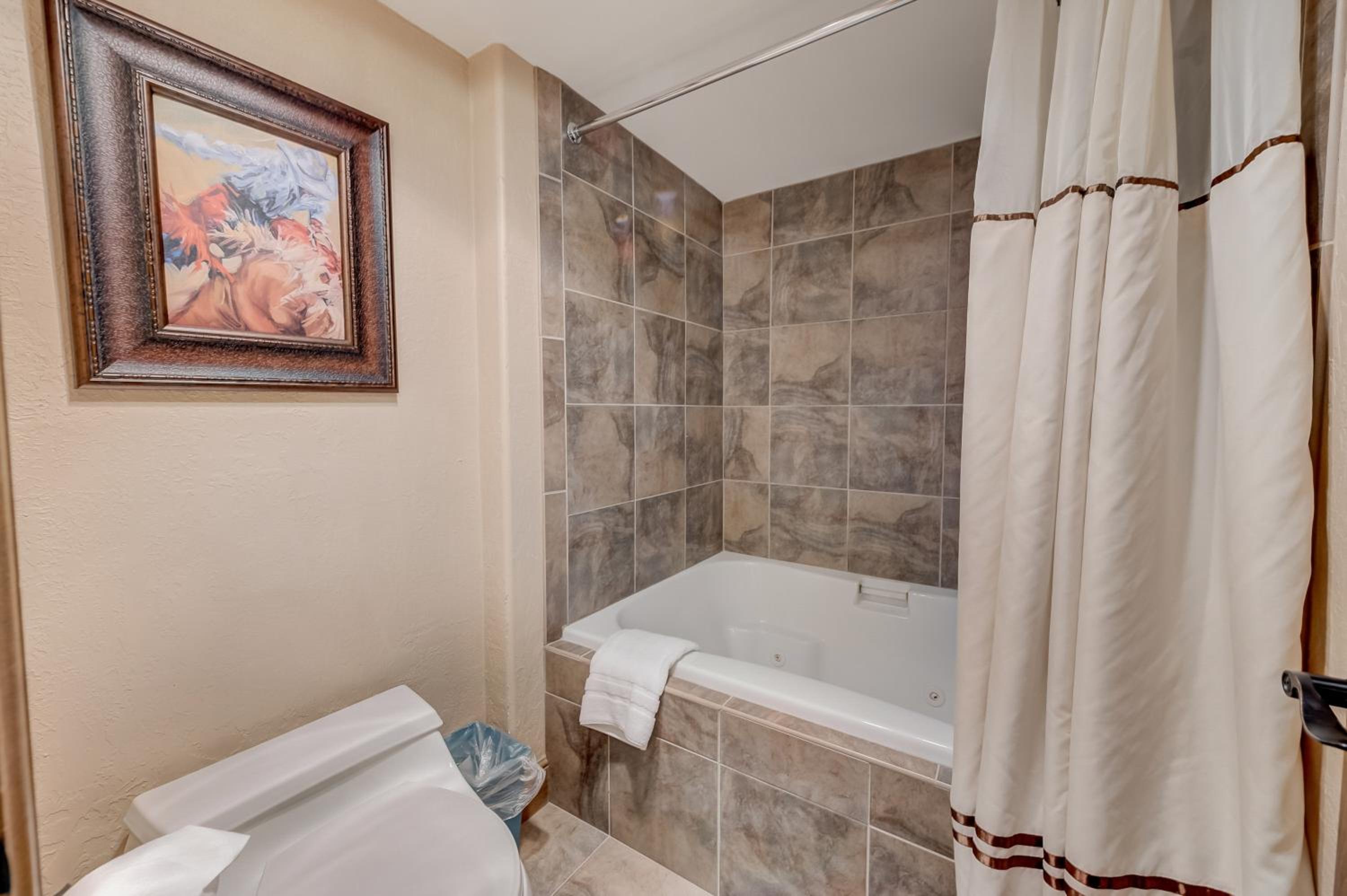 1 Bedroom Condominium  - Photo 17