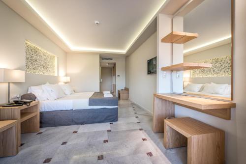 Deluxe Double or Twin Room photo 2