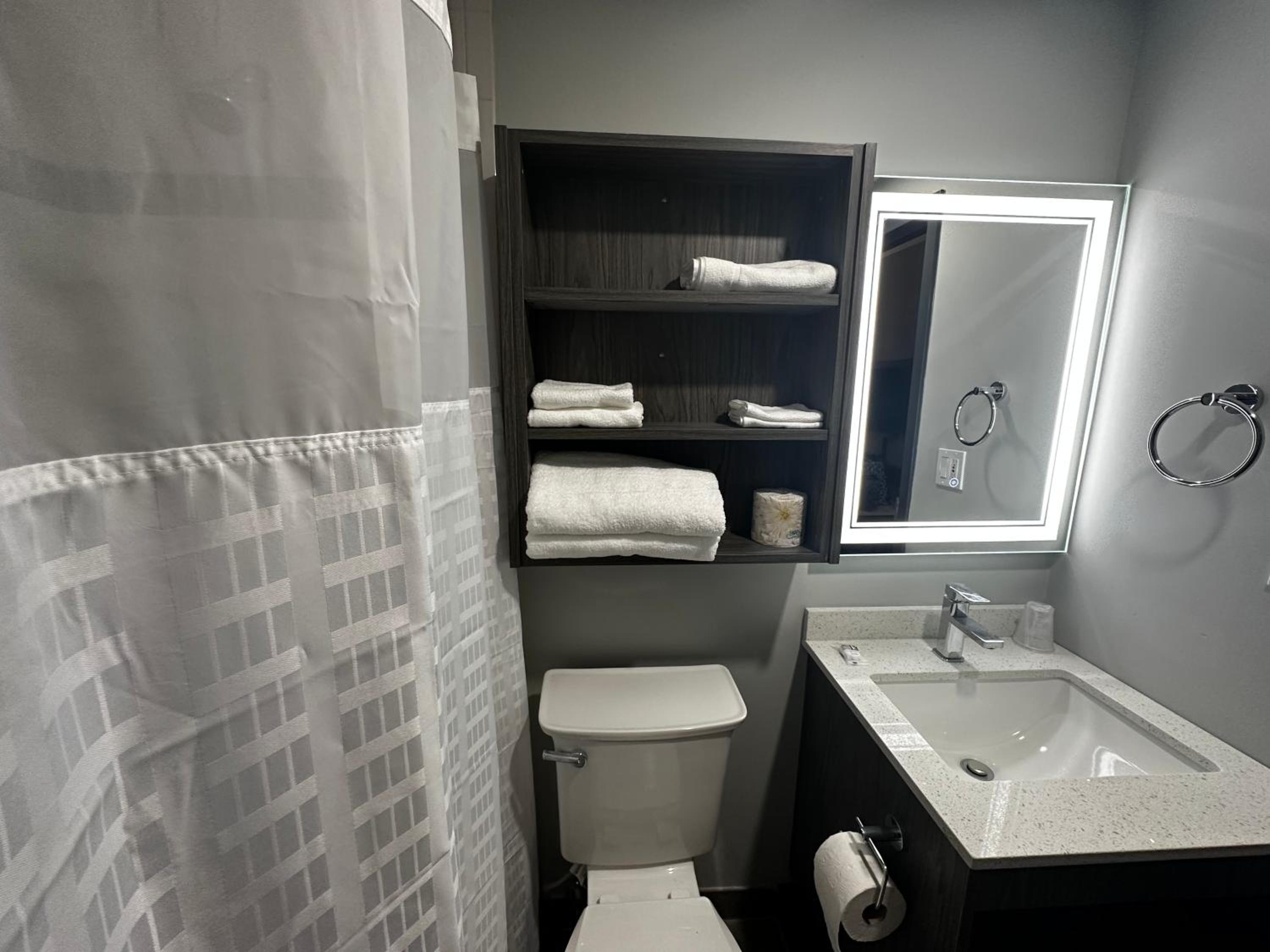 Deluxe King Room - Photo 3