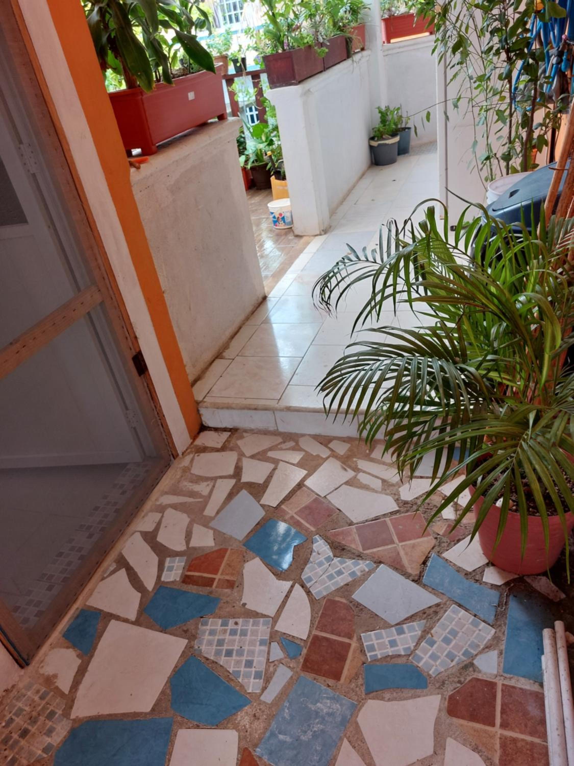 Studio with Terrace photo 3