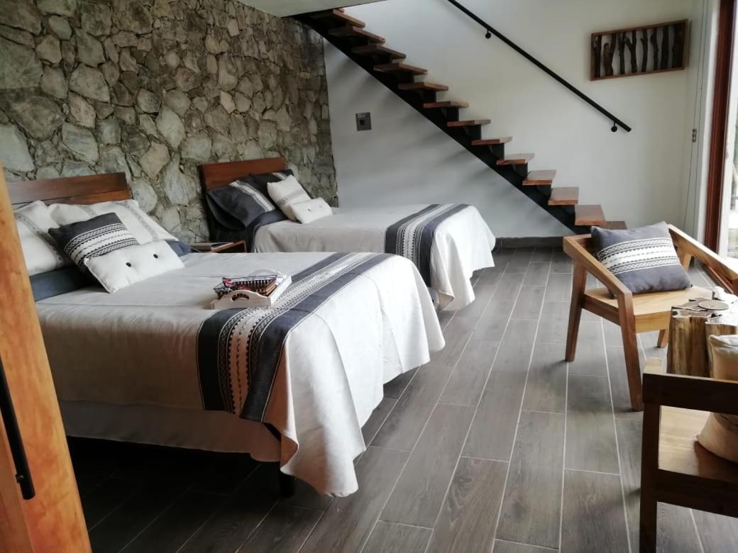 Duplex Suite - Photo 1