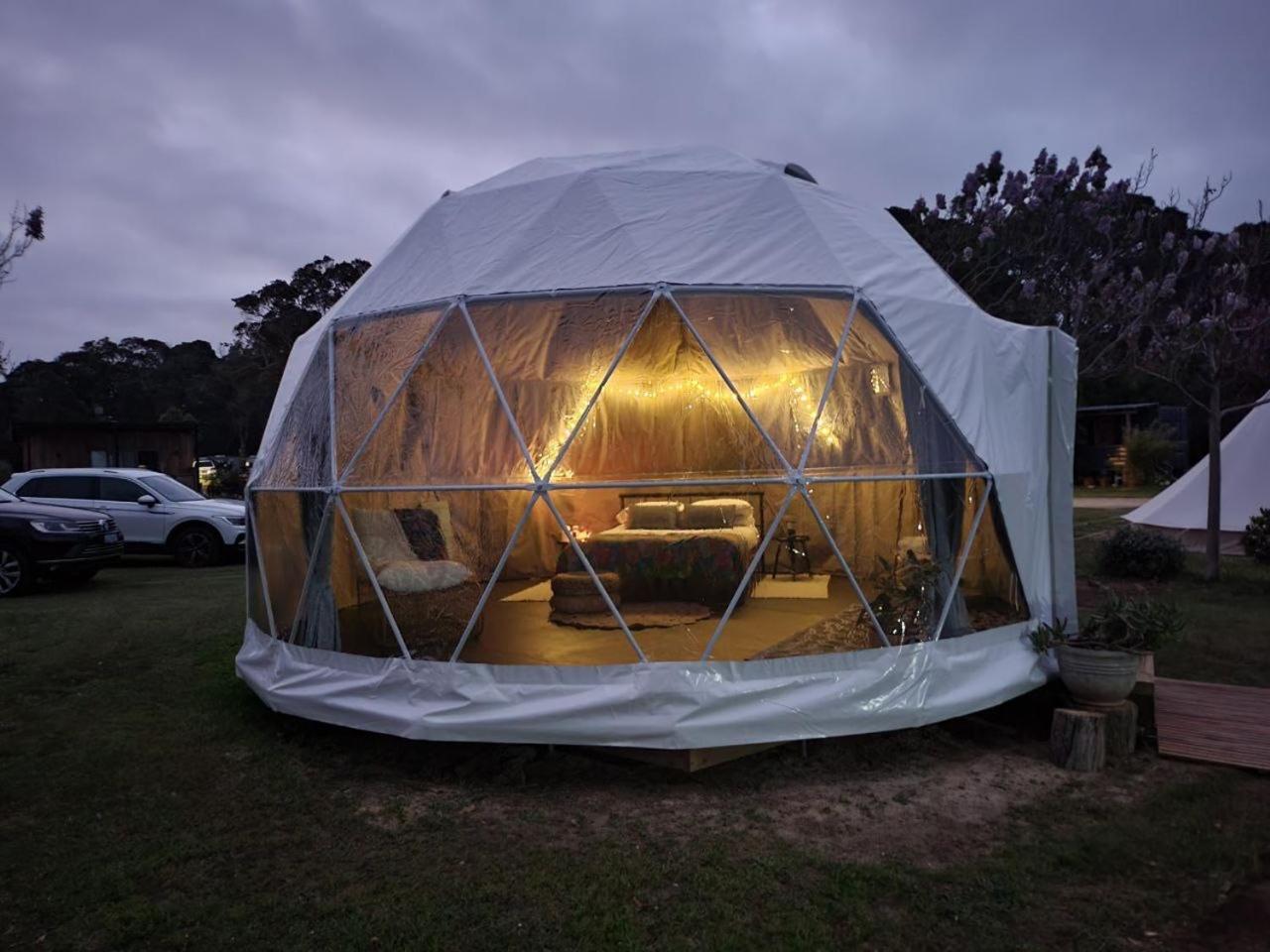 Geo Dome - Photo 1