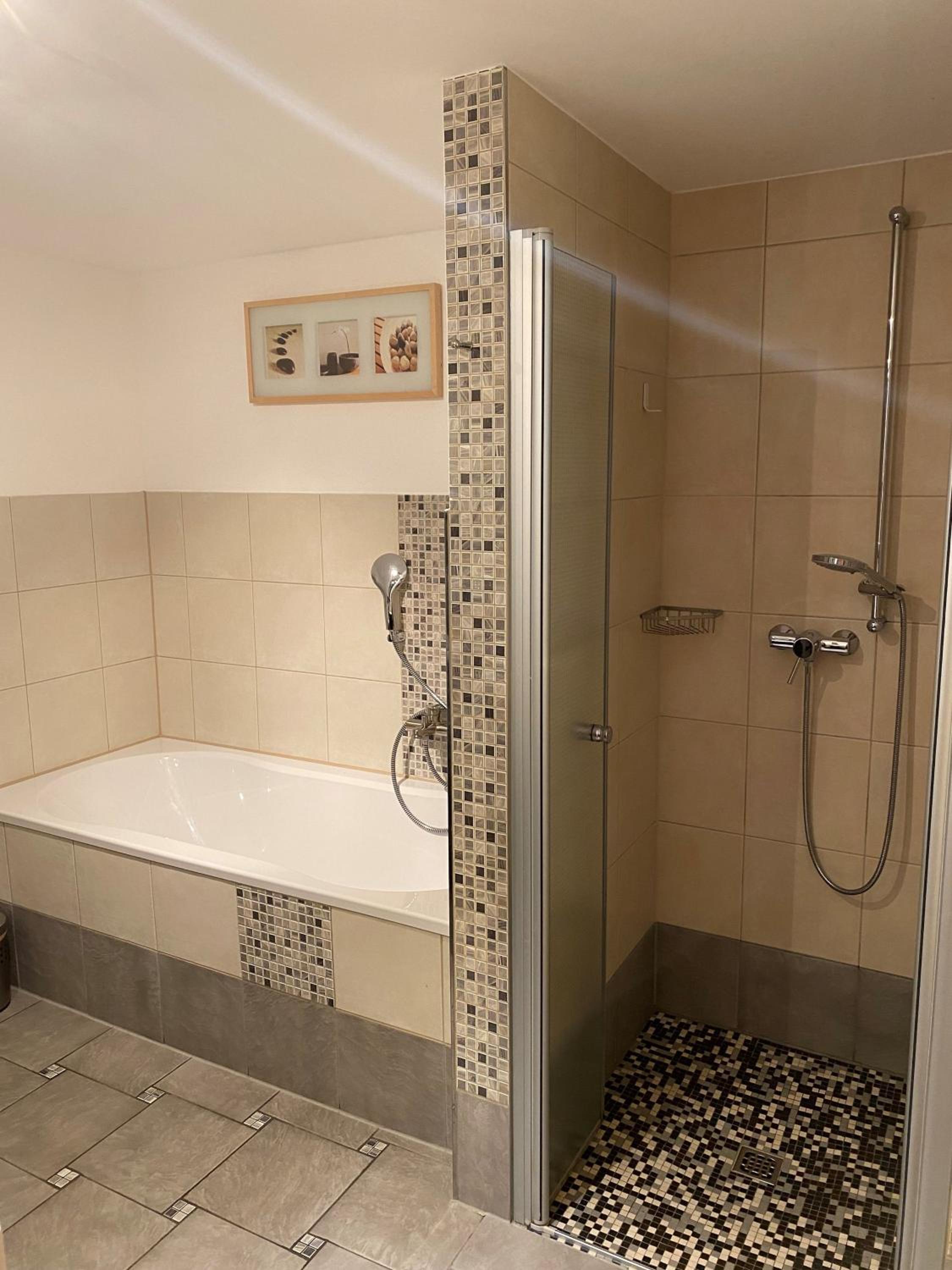 One-Bedroom Apartment with Shower photo 3