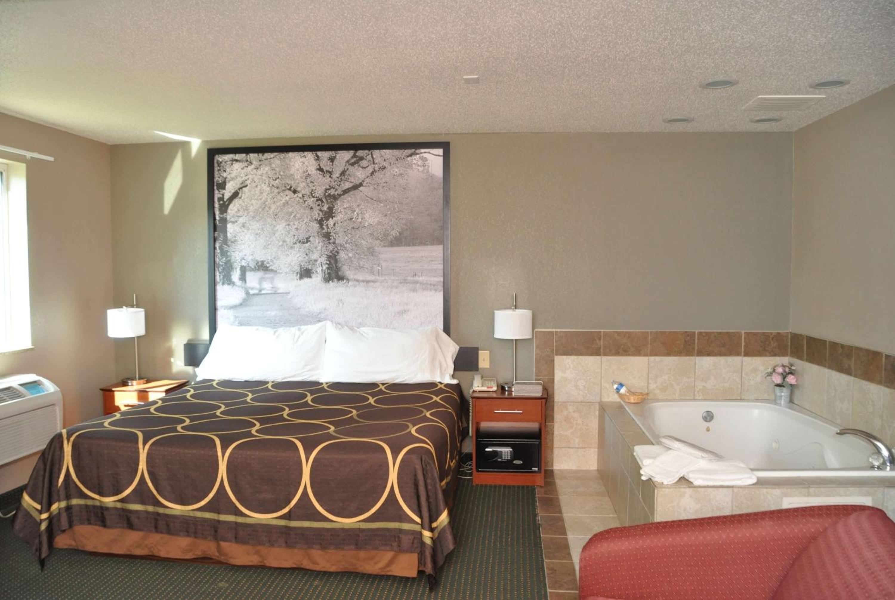 1 King Bed, Pet Friendly, Studio Premier Suite, Non-Smoking - Photo 1