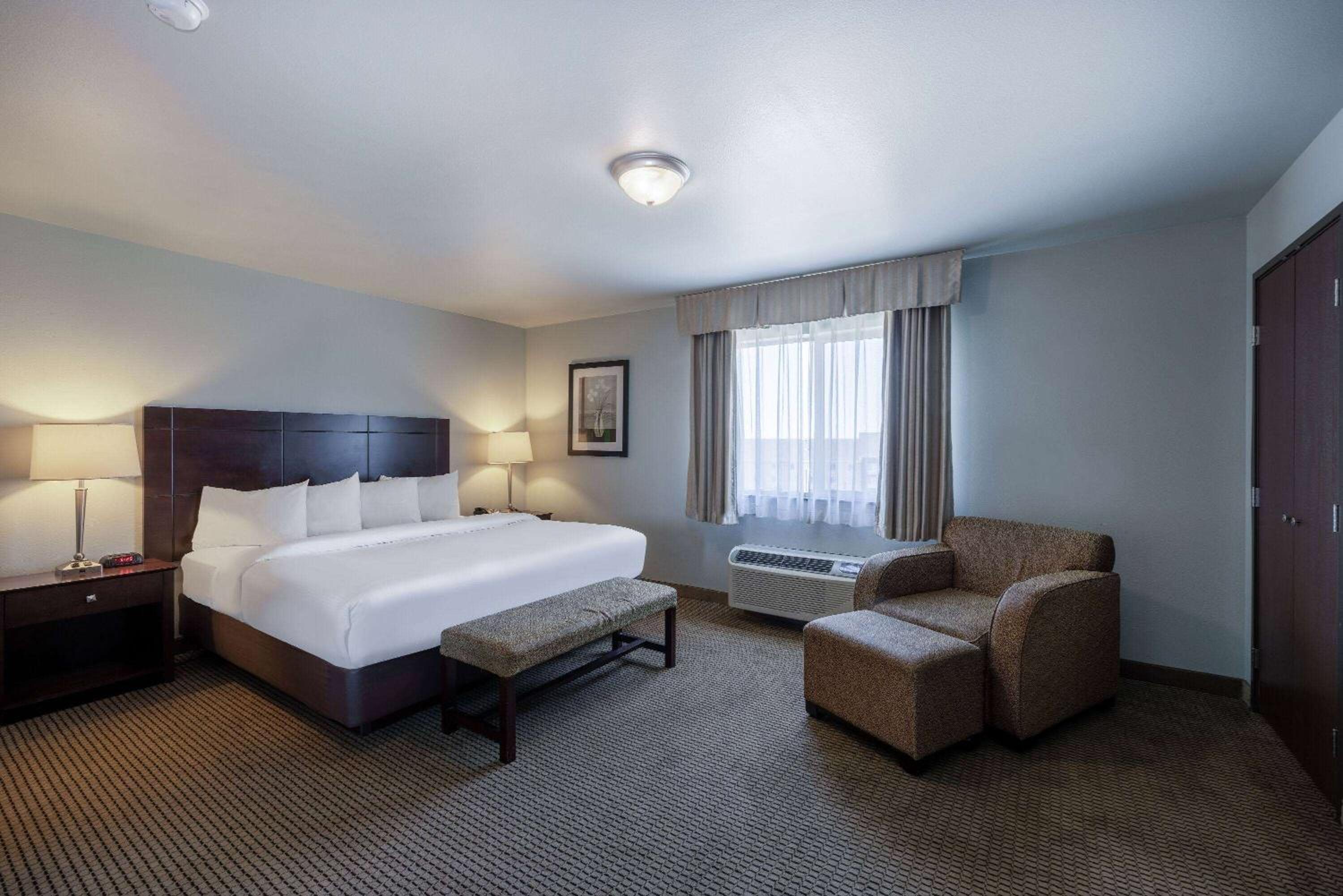One-Bedroom King Suite - Non-Smoking photo 1