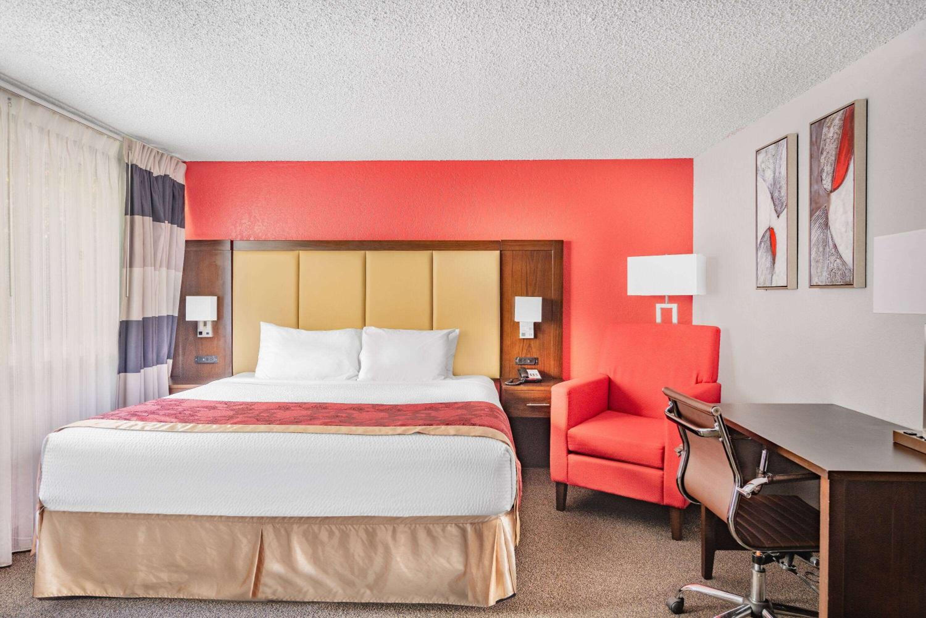 King Room - Non-Smoking photo 1