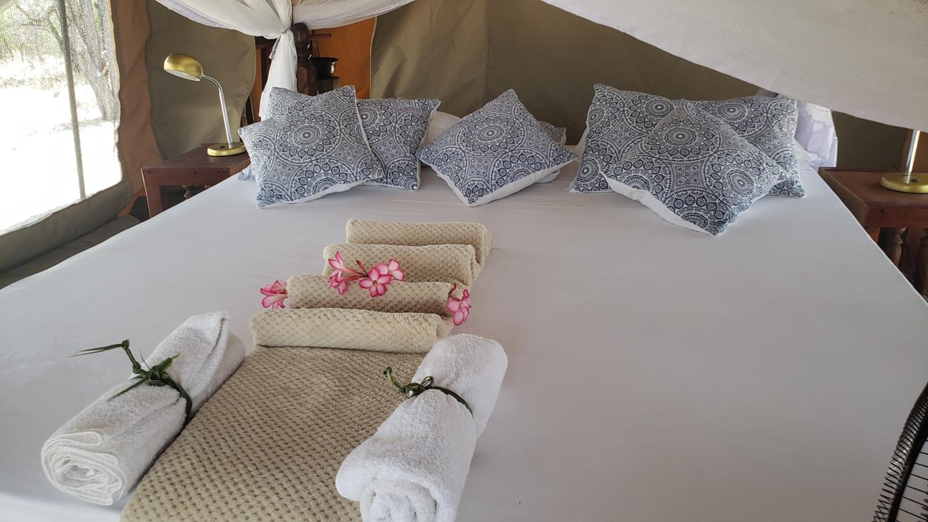 Tent photo 1