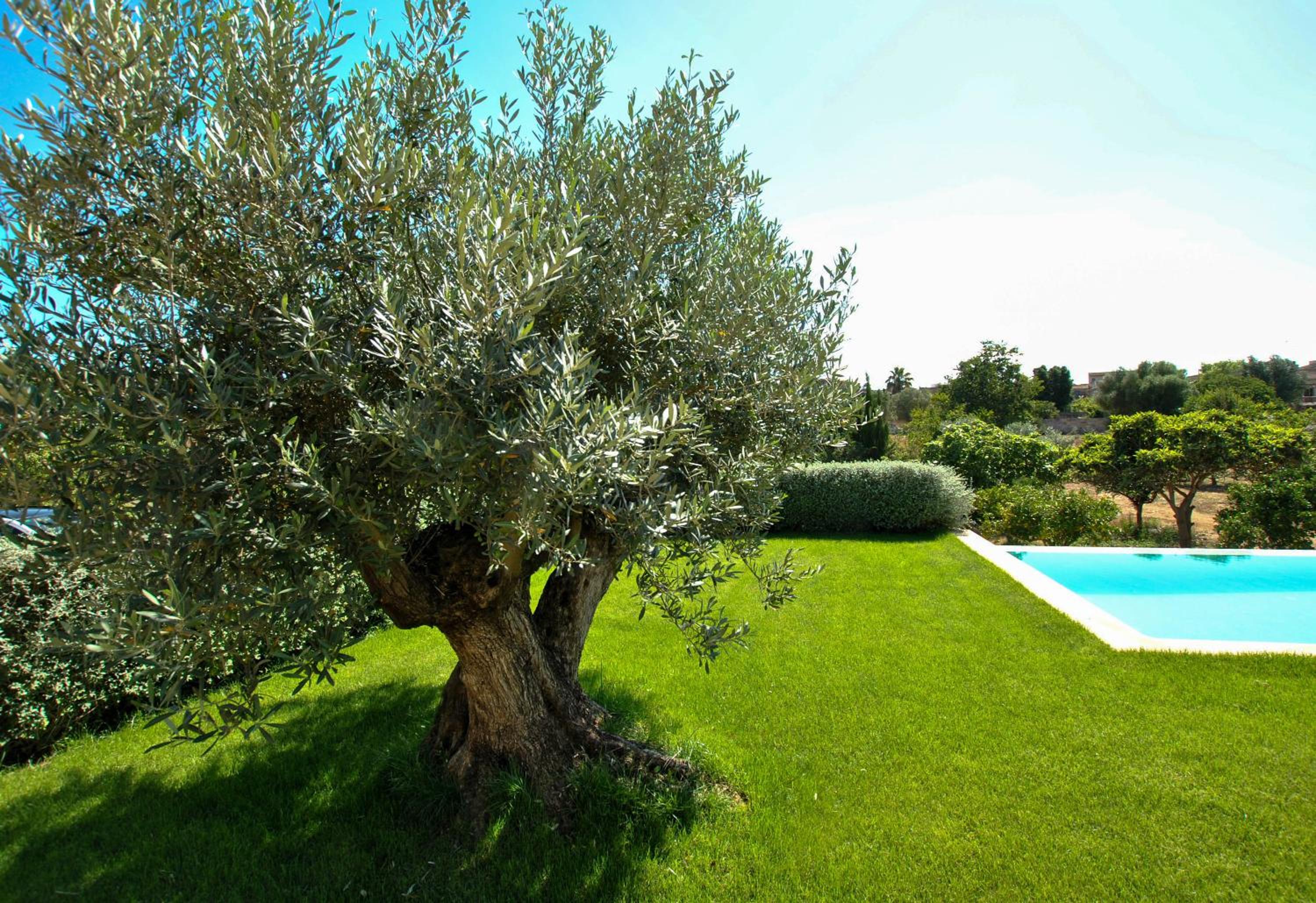 Villa With Garden View photo 3