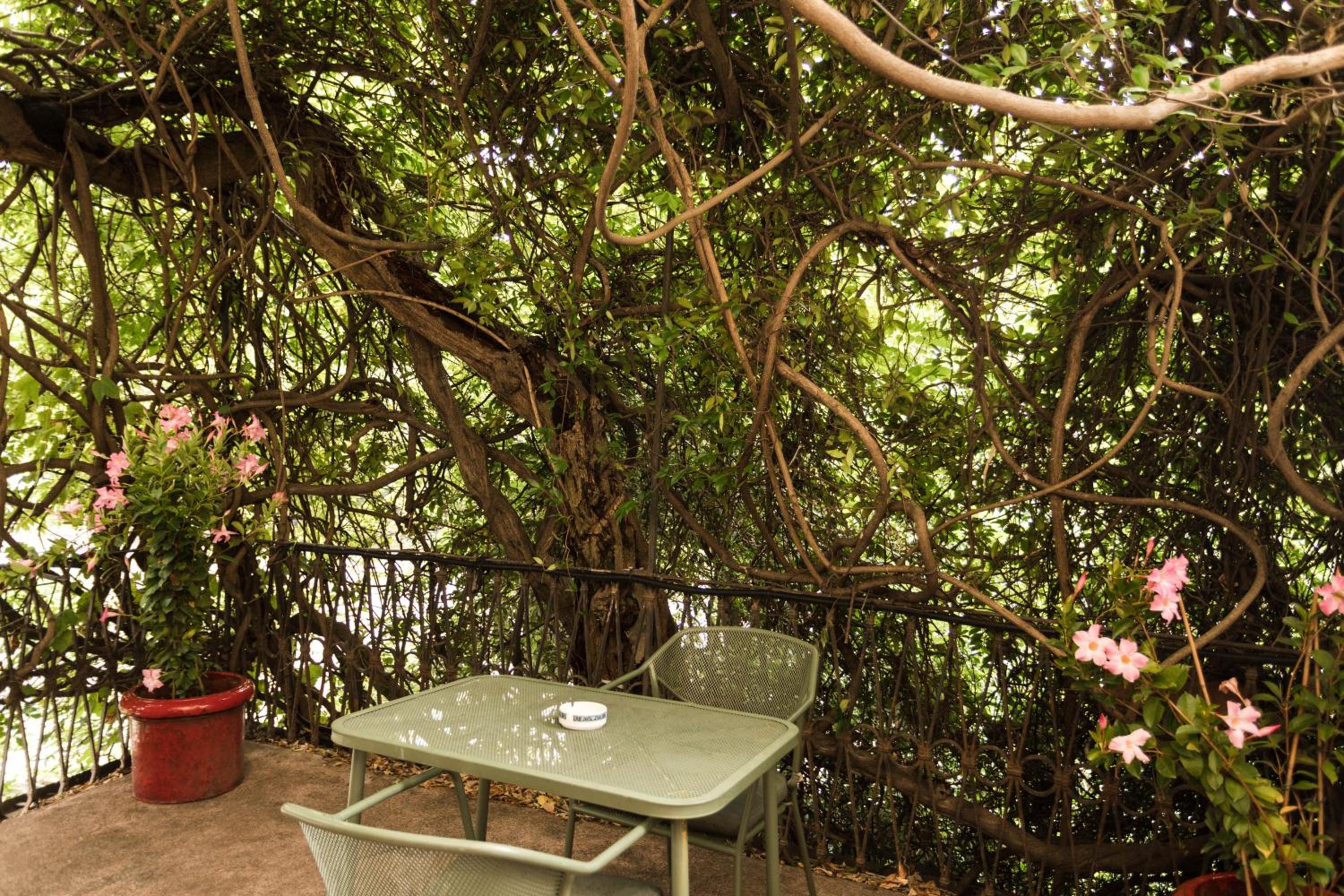 Double Room with Terrace - Photo 5