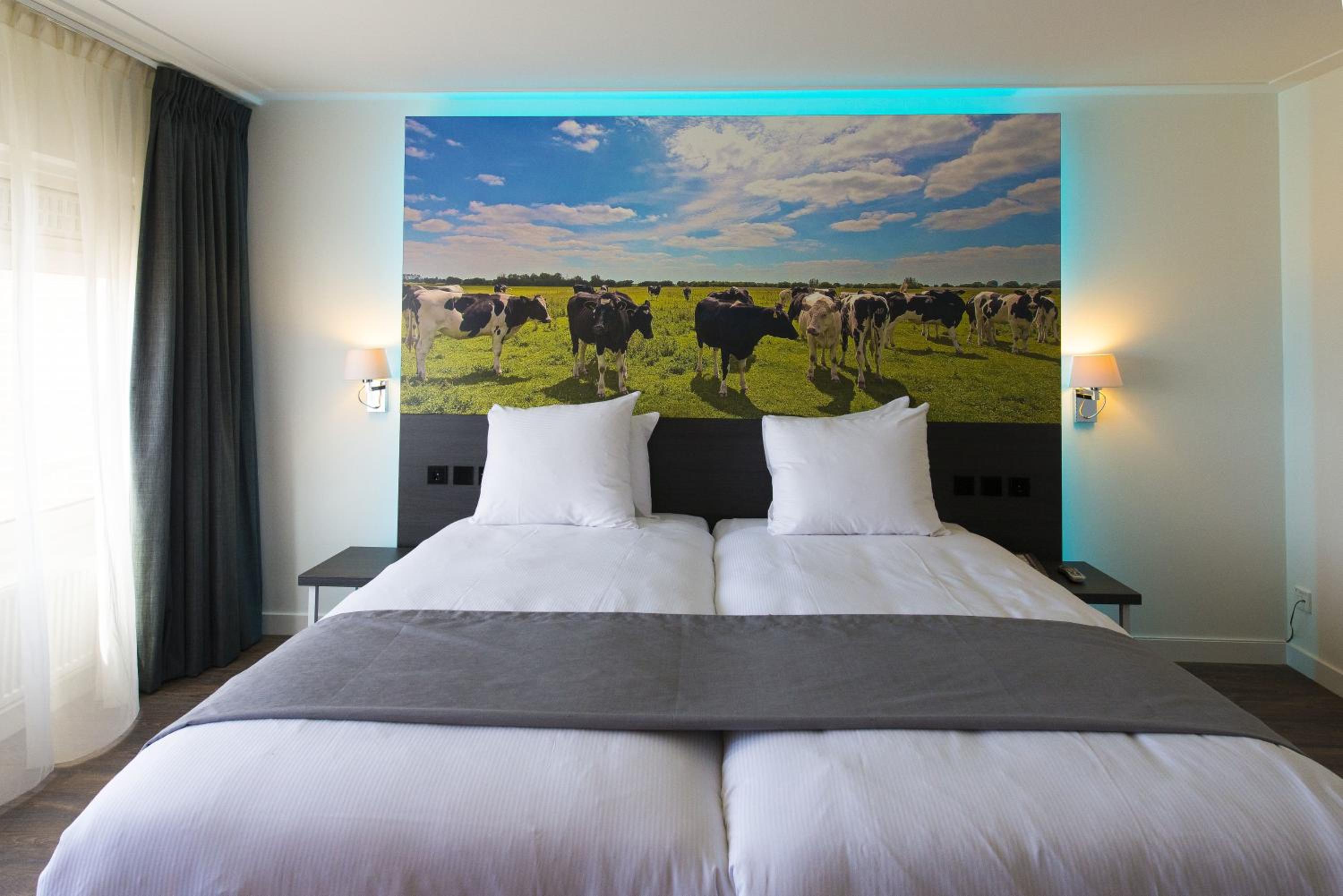 Junior Suite - Photo 6
