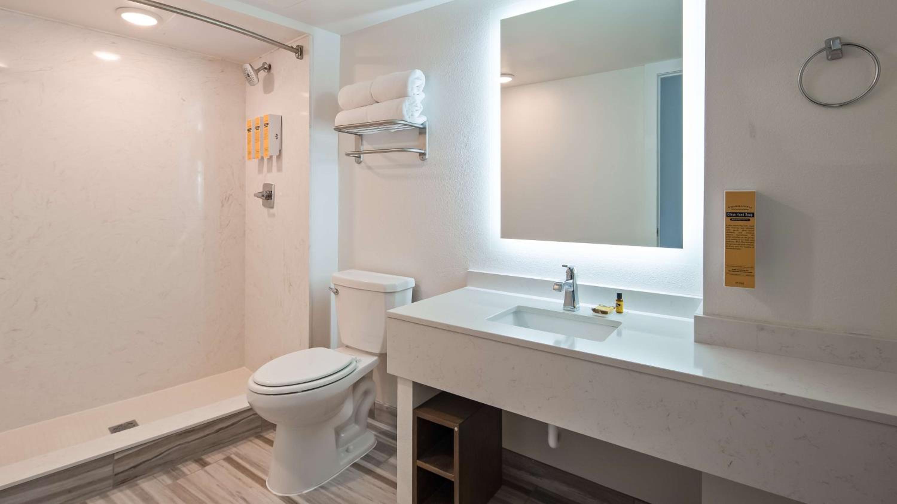 King Room with Walk-In Shower - Pet Friendly/Non-Smoking - Photo 3