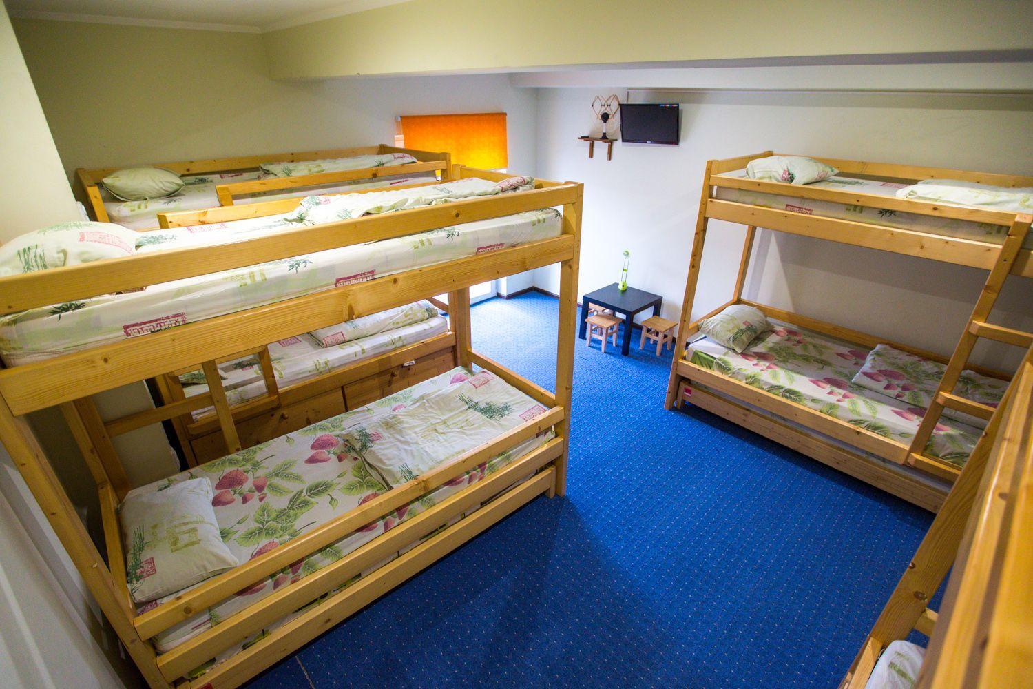 Bed in Male Dormitory Room photo 1