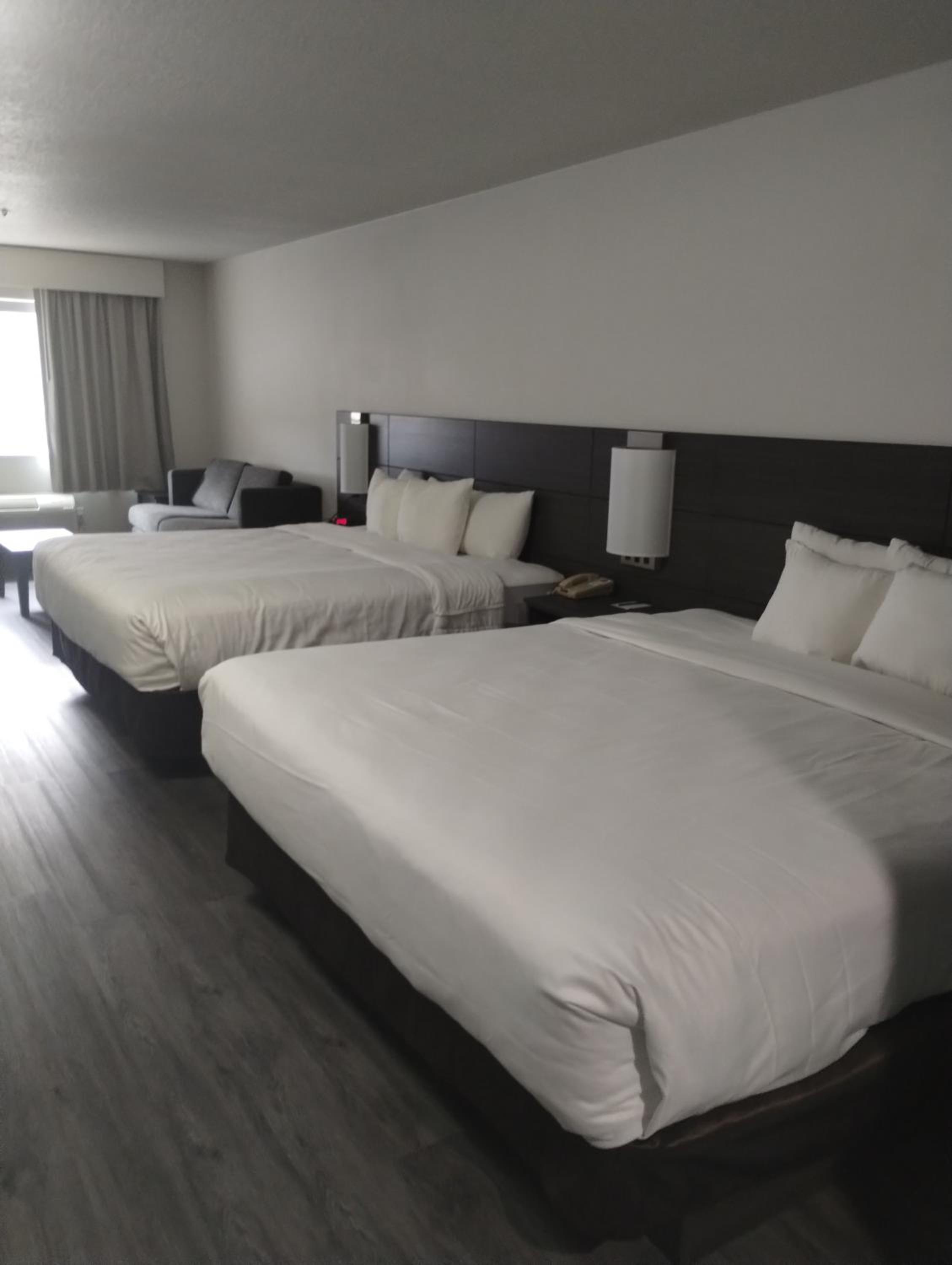 Efficiency Family King Suite - Non Smoking - Photo 1