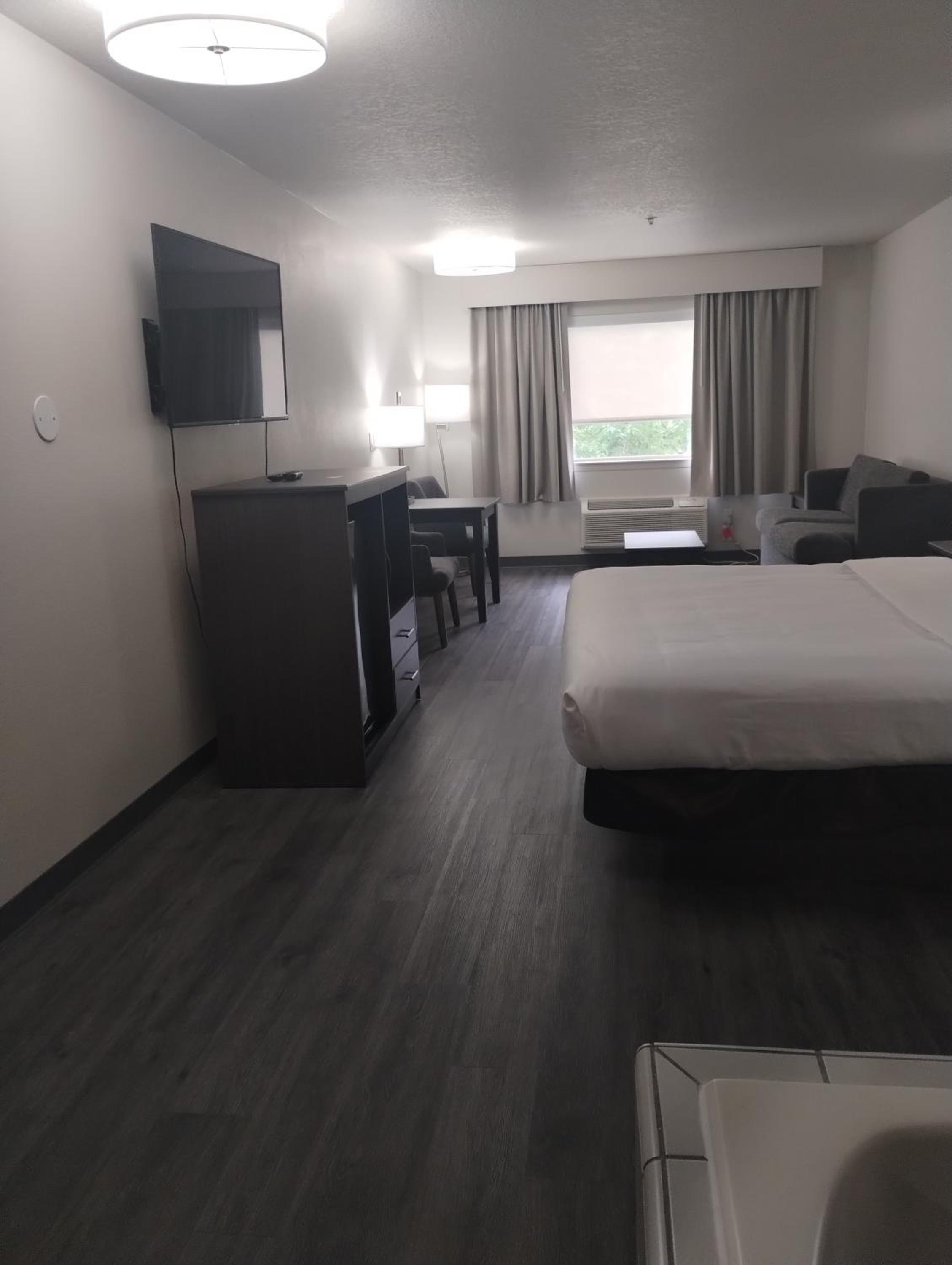 Standard King Room with Whirlpool in bath and Sofabed - Non Smoking  - Photo 7
