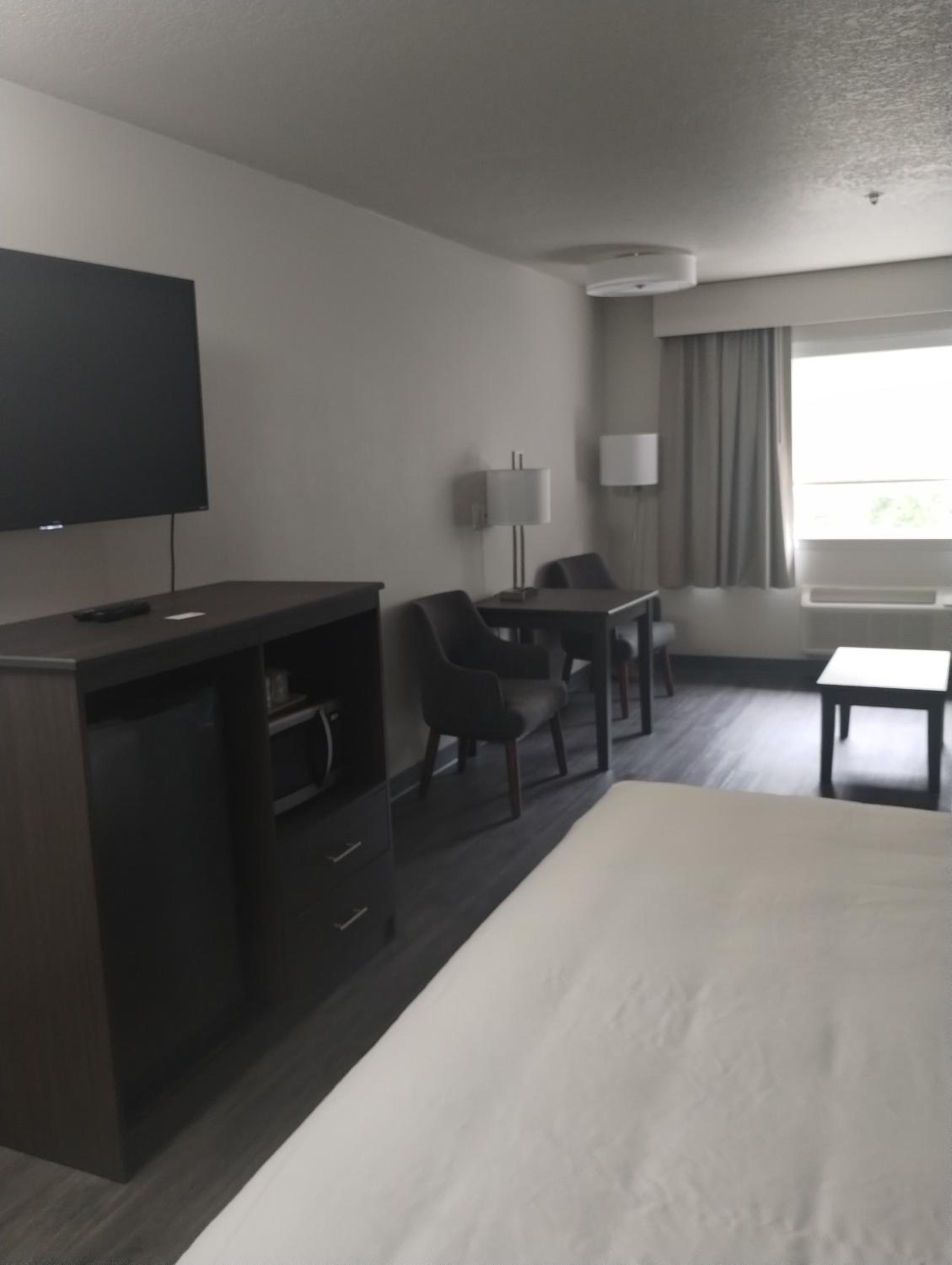 Standard King Room with Whirlpool in bath and Sofabed - Non Smoking  - Photo 10