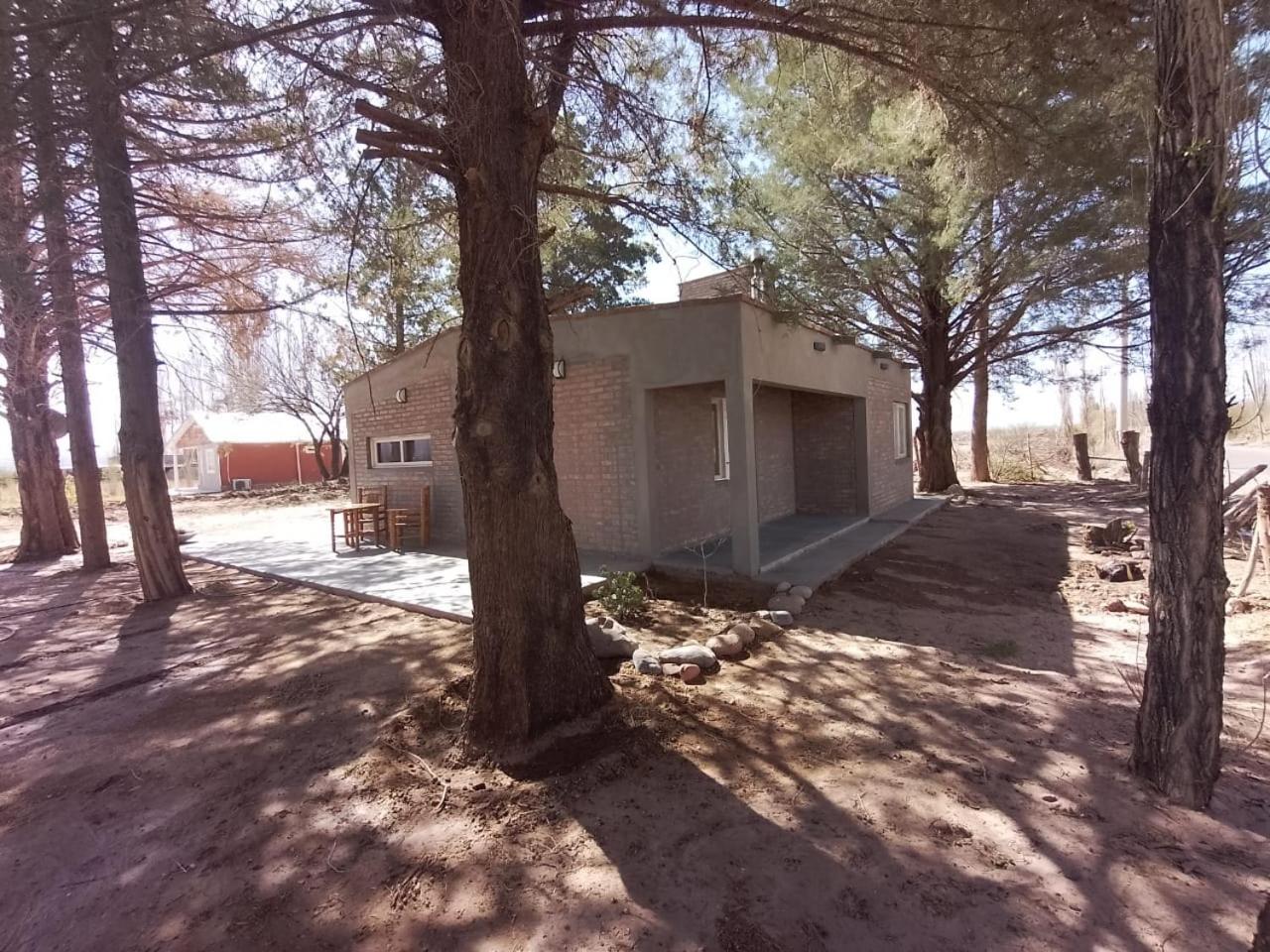 Three-Bedroom House photo 3
