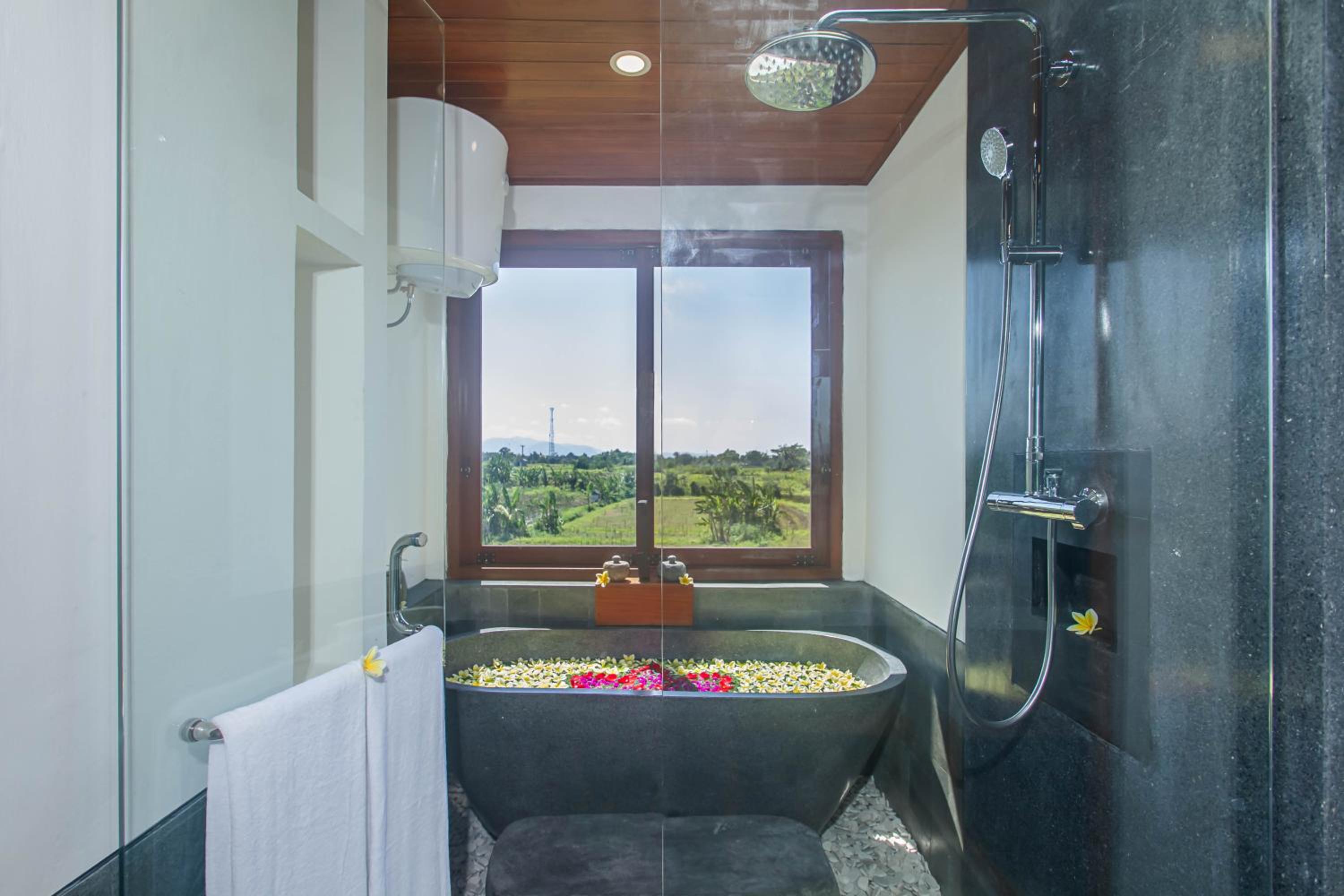 Deluxe Double or Twin Room - Photo 9