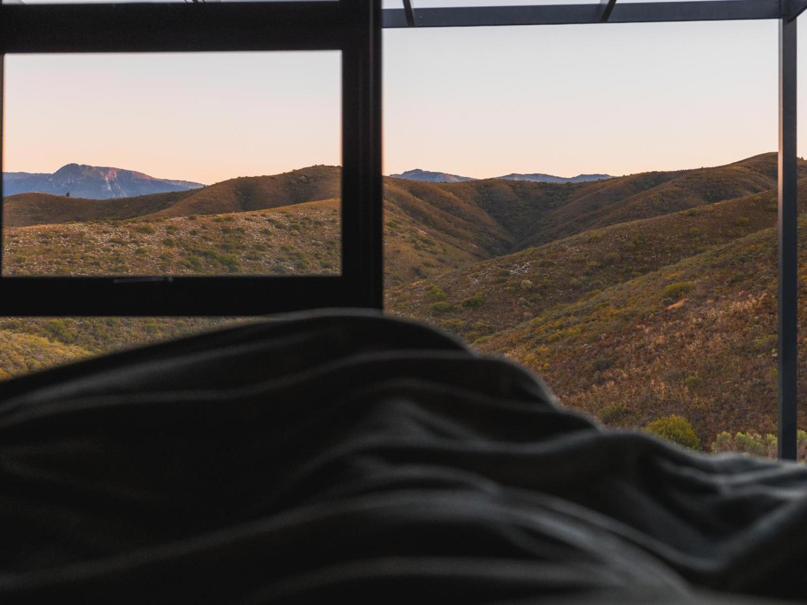 Luxury Cabin photo 3