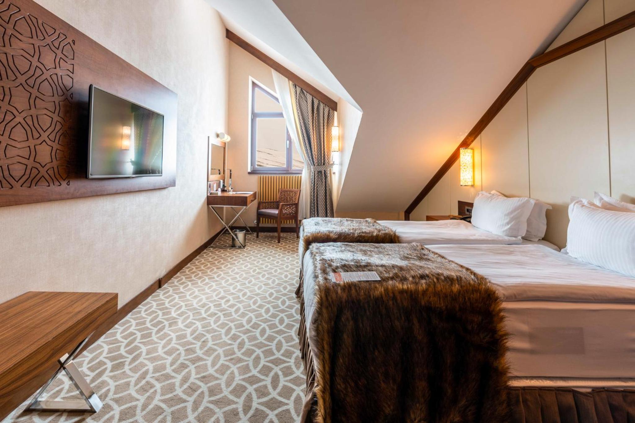 Deluxe Double or Twin Room photo 1