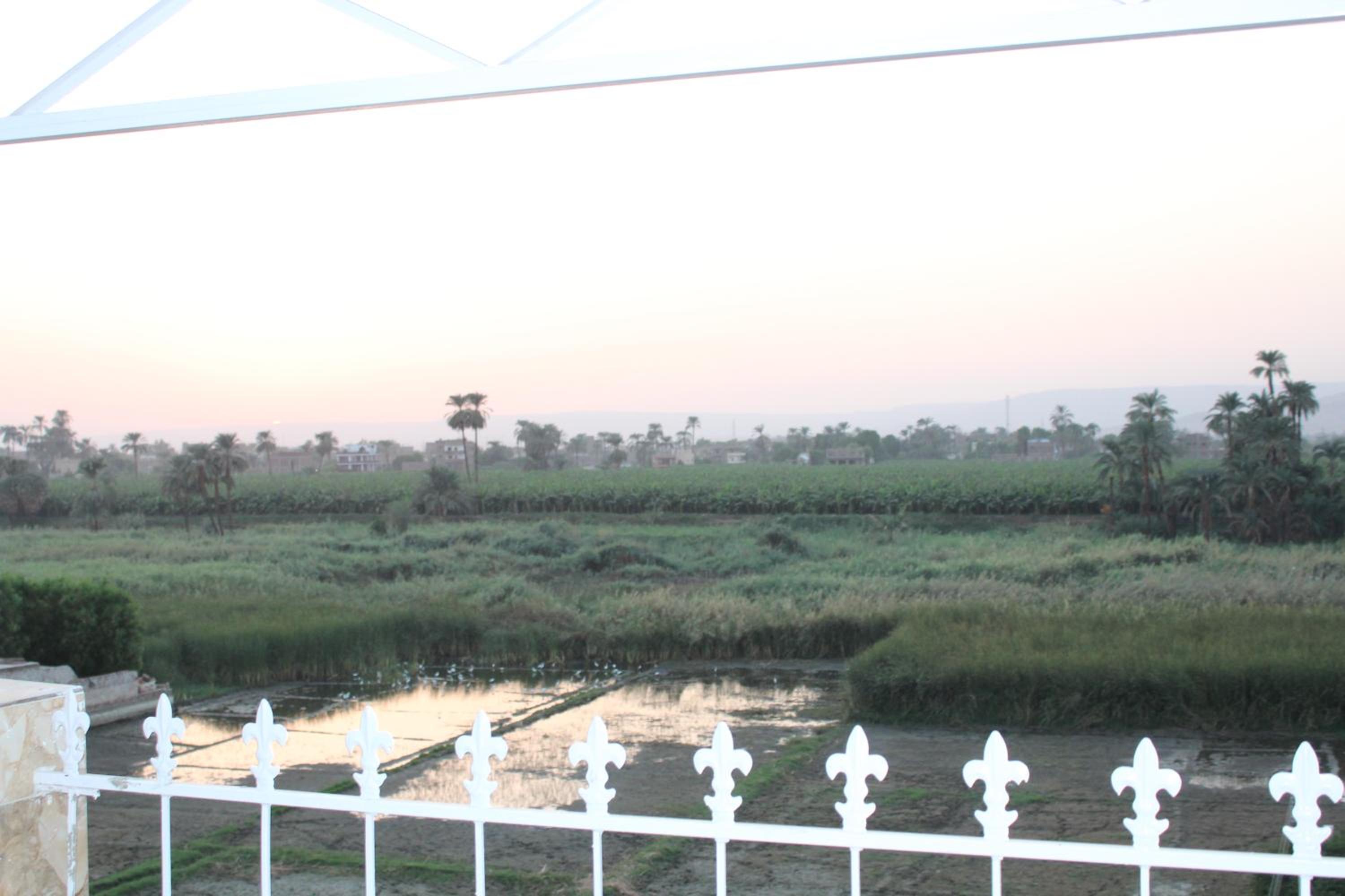 Studio with Pool View - Photo 15