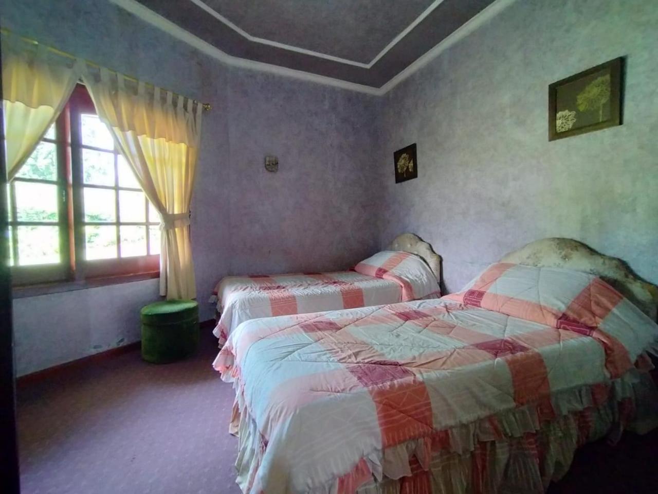 Villa photo 1