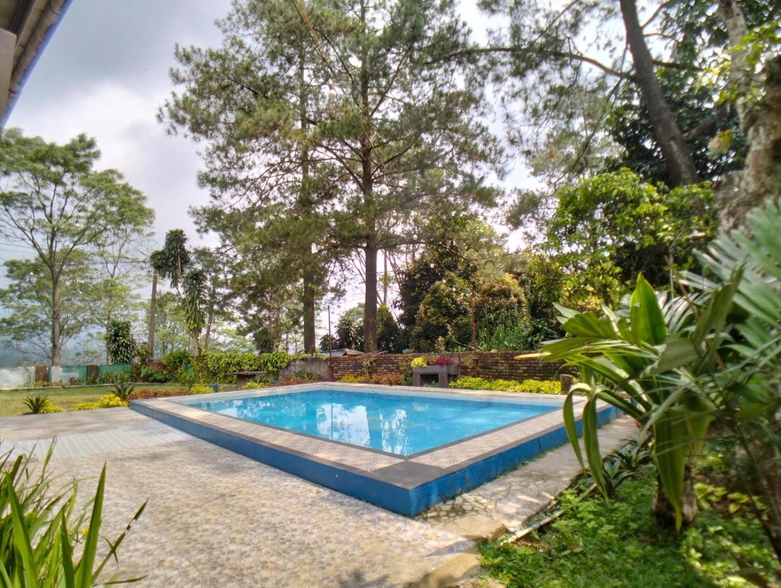 Three-Bedroom Villa photo 2
