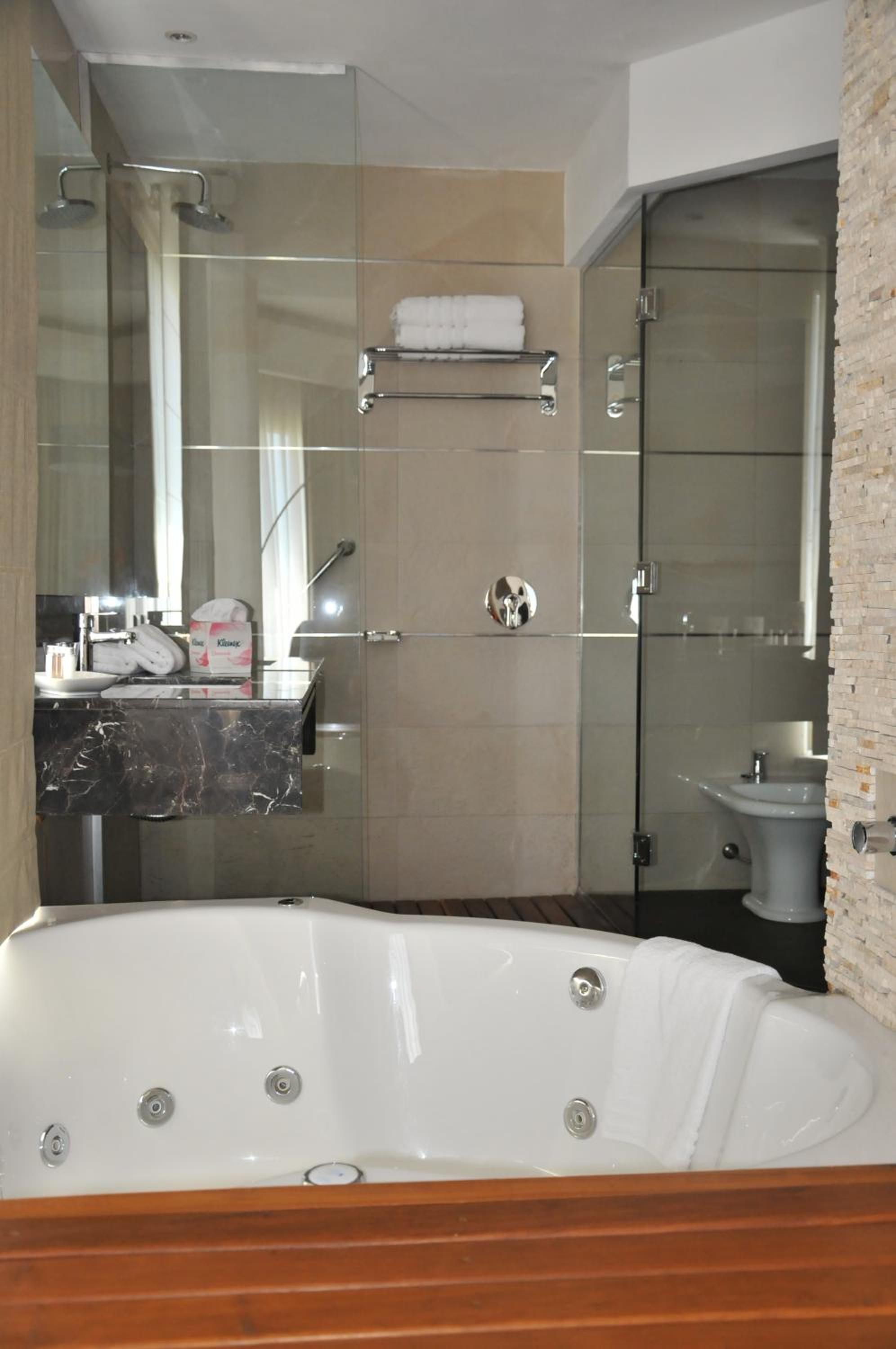 Deluxe Double Room photo 3