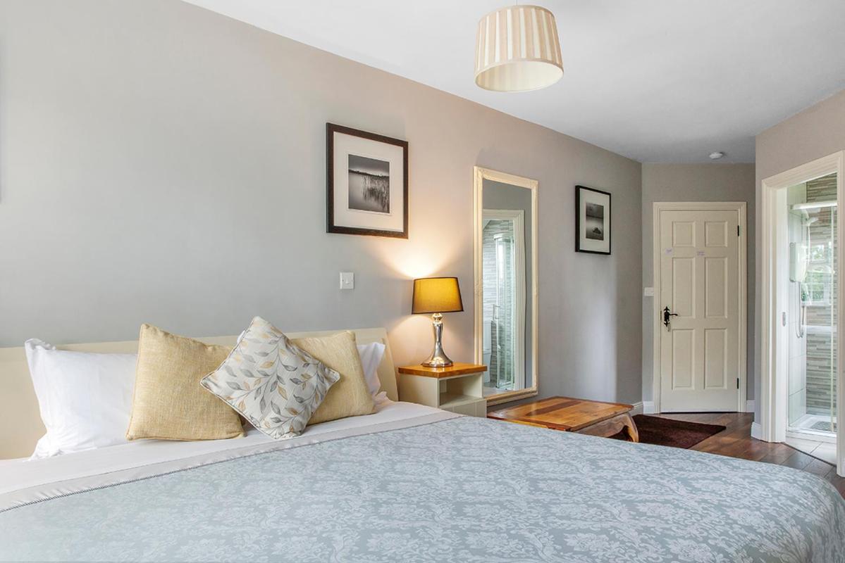 Superior Family Room - Photo 3
