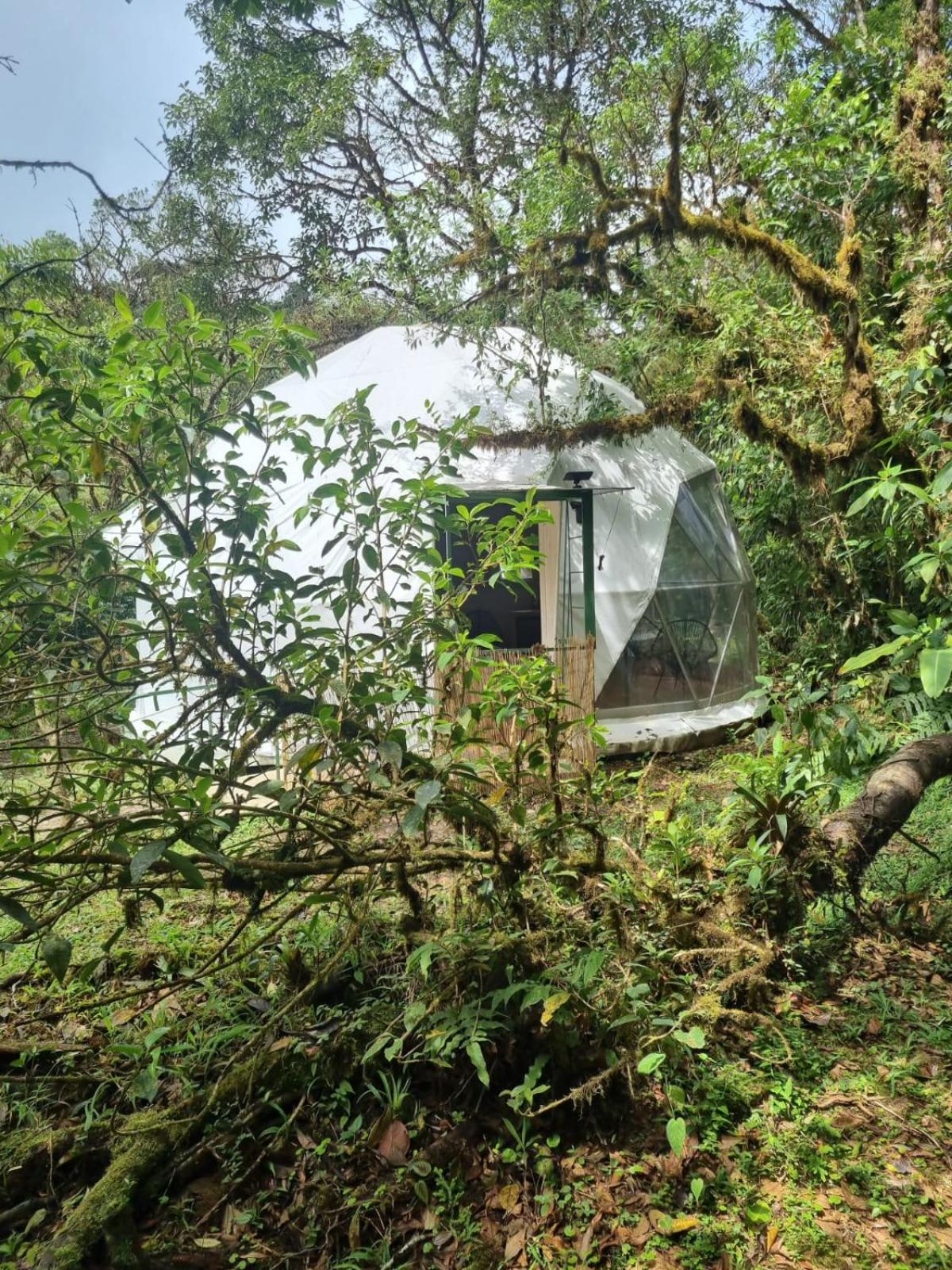 Double Room with Mountain View photo 2