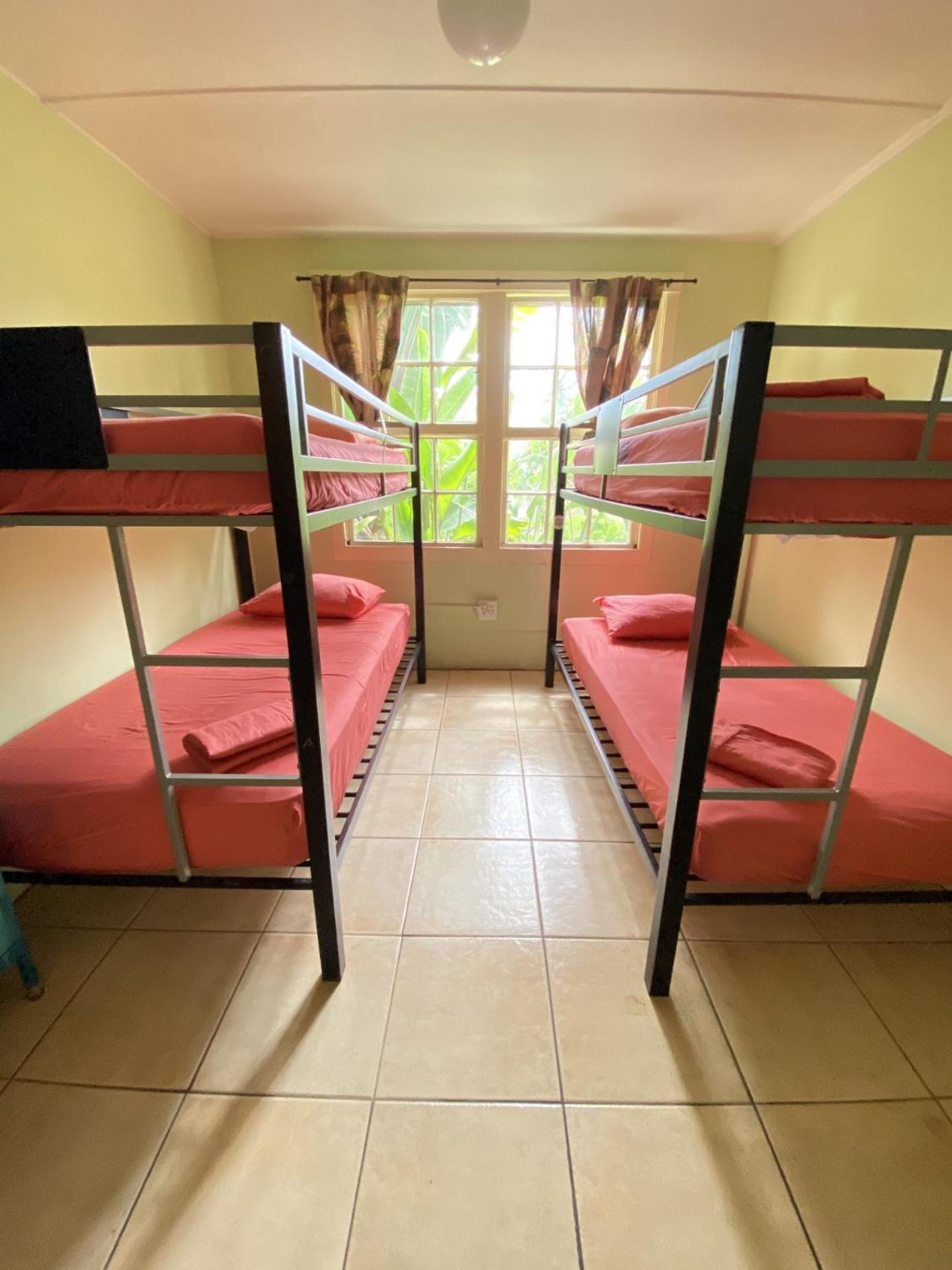 Bed In 4-Bed Mixed Dormitory Room photo 1