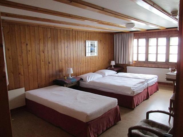 Family Room (3 Adults)
