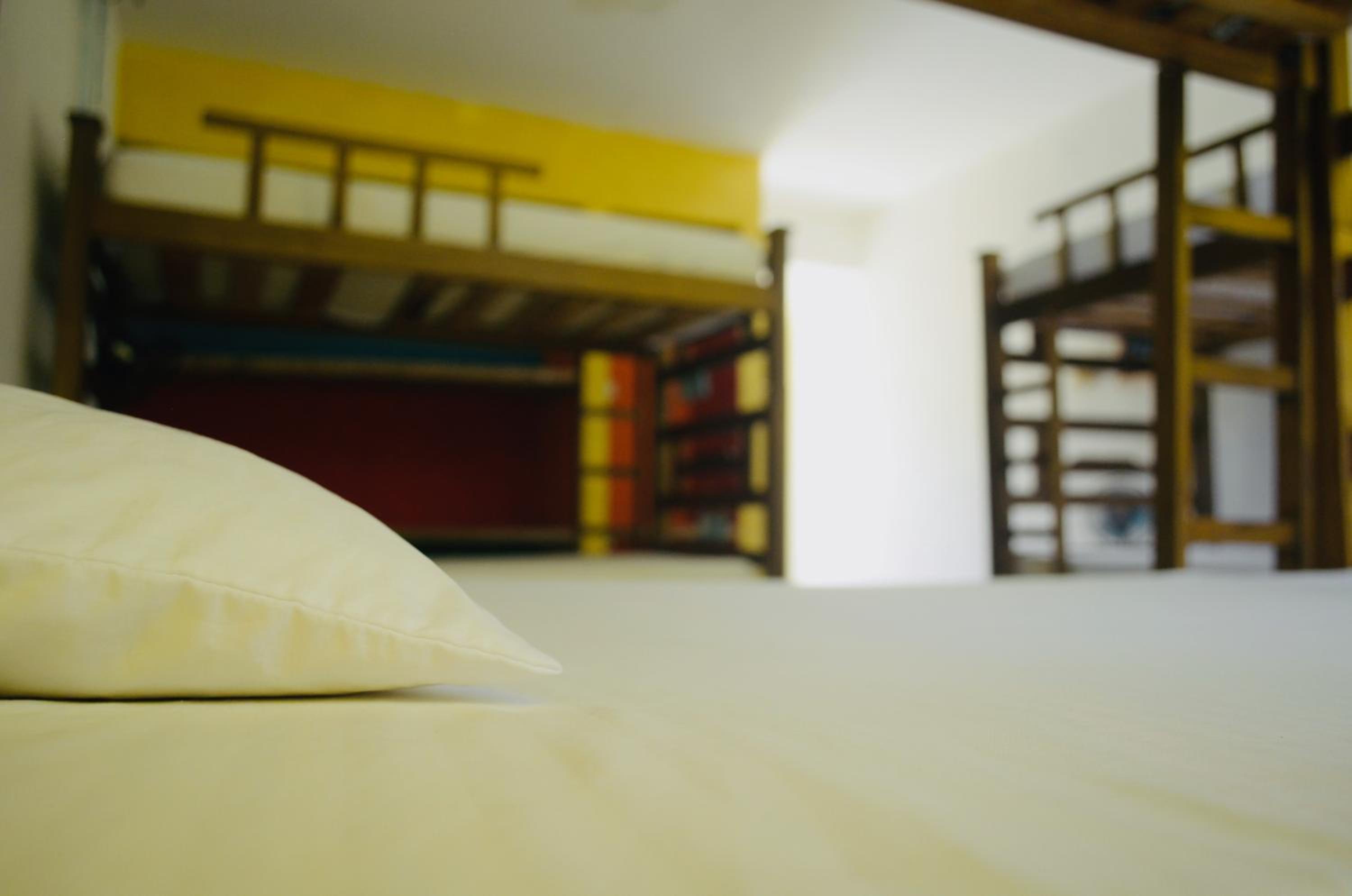Bed in 6-Bed Dormitory Room photo 1