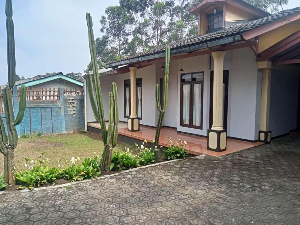 One-Bedroom Villa photo 3
