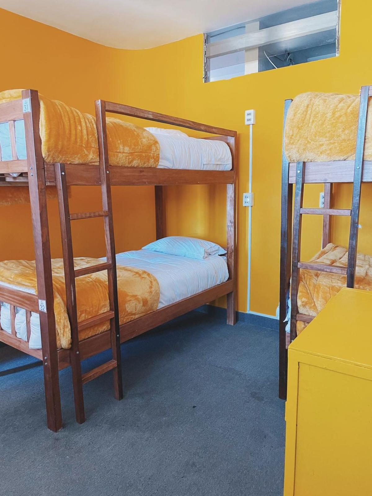 Bed in 4-Bed Dormitory Room photo 2