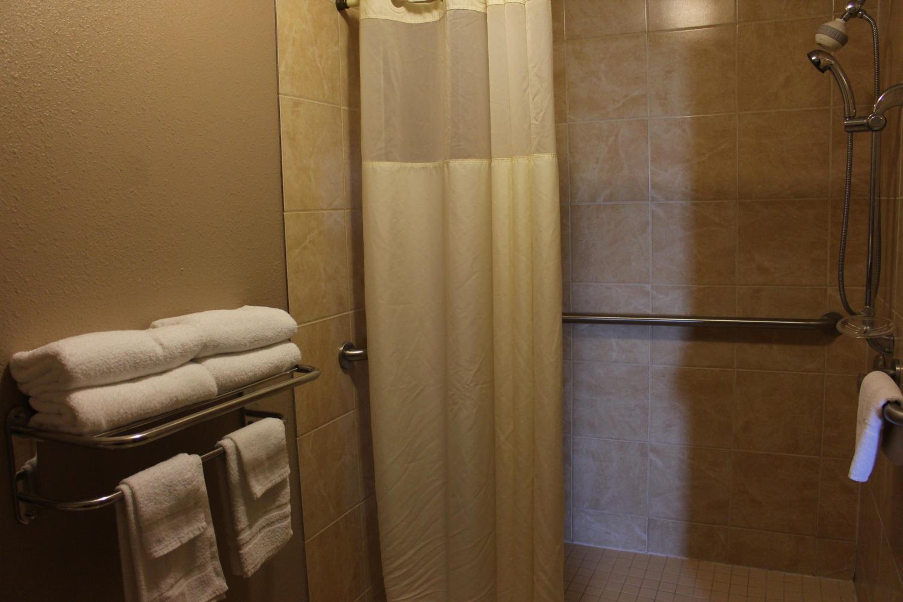 Studio Deluxe Suite with King Bed, Non-Smoking - Photo 5