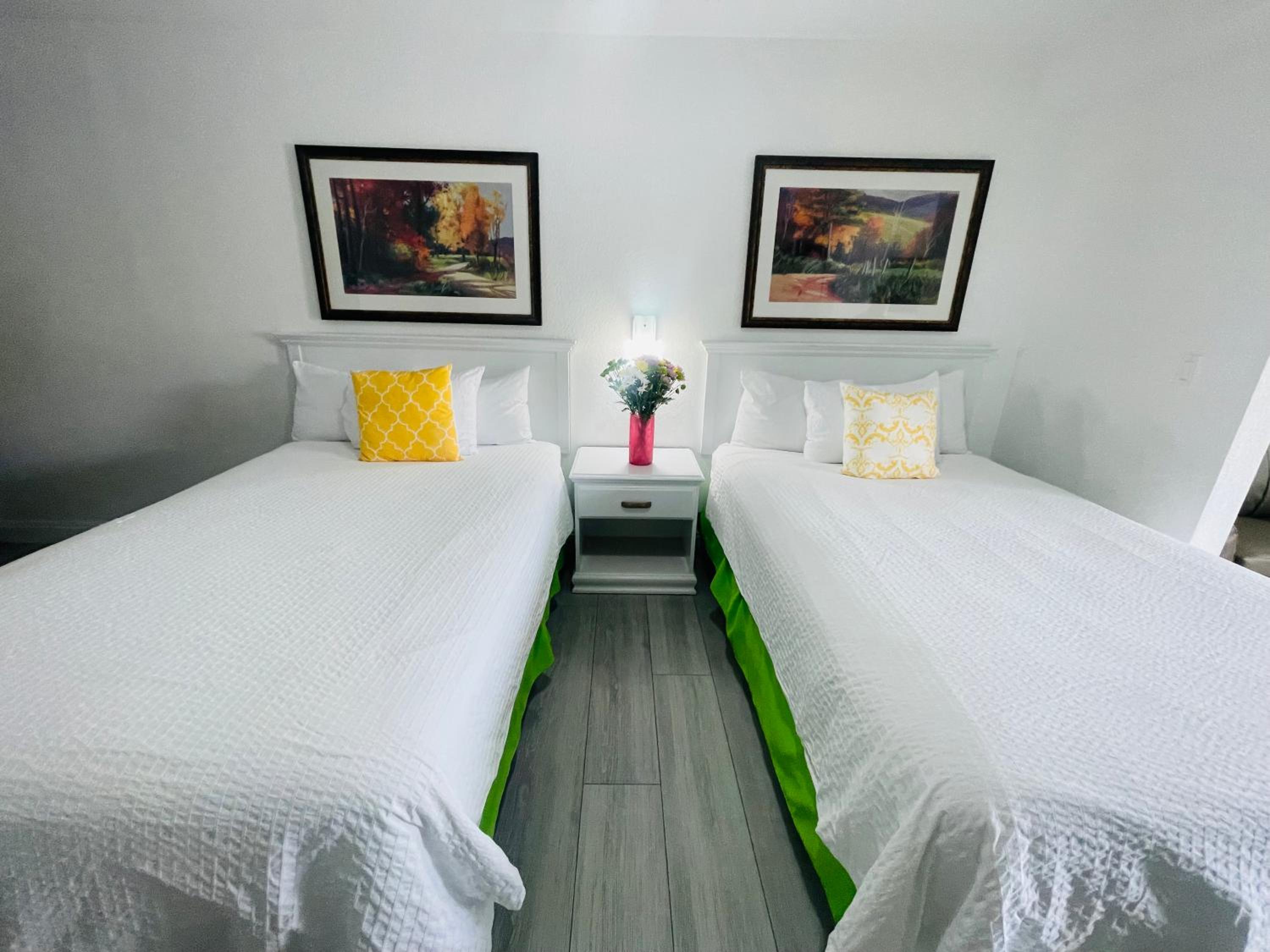 Double Suite - Photo 1