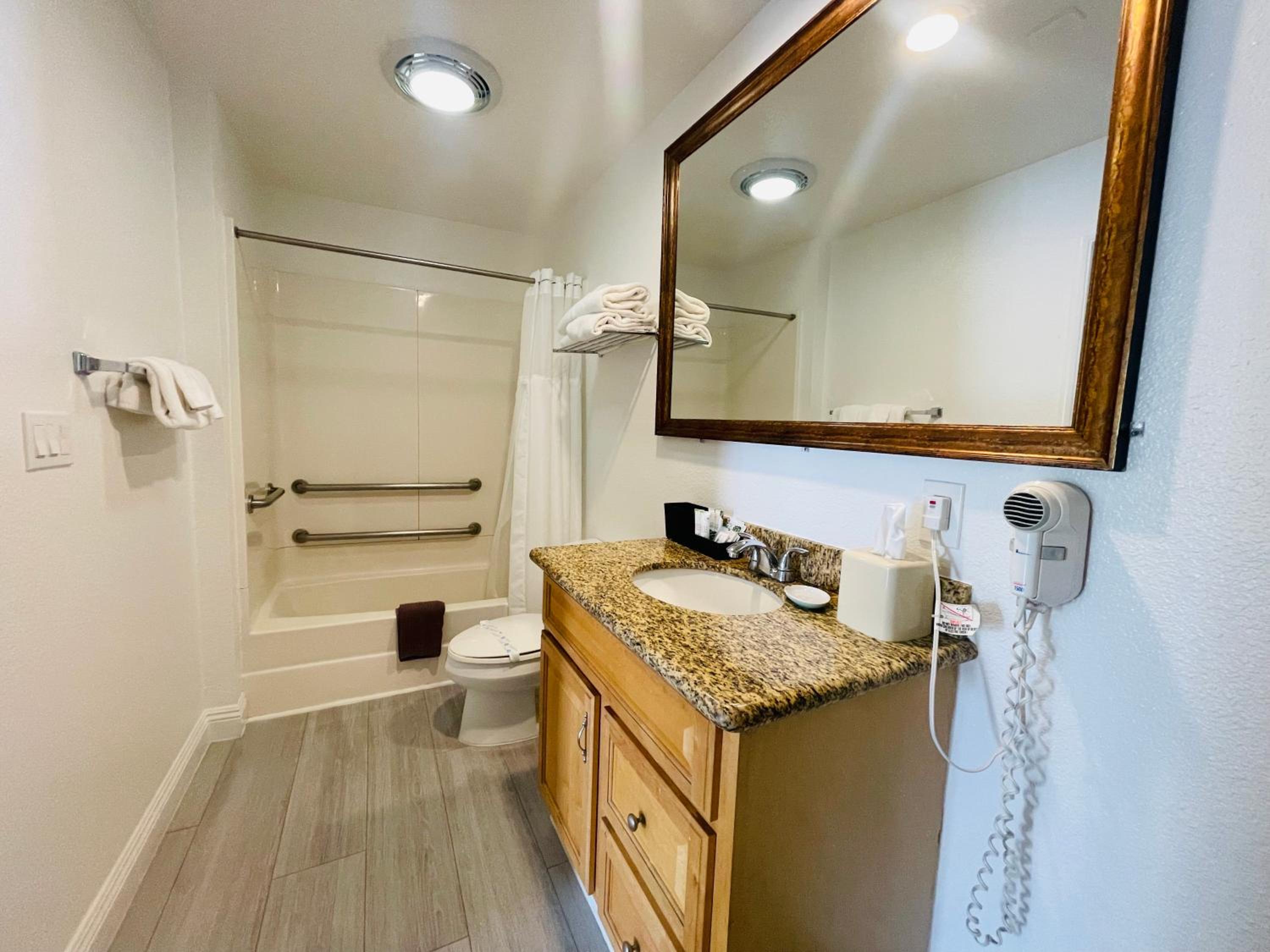 Double Suite - Photo 6